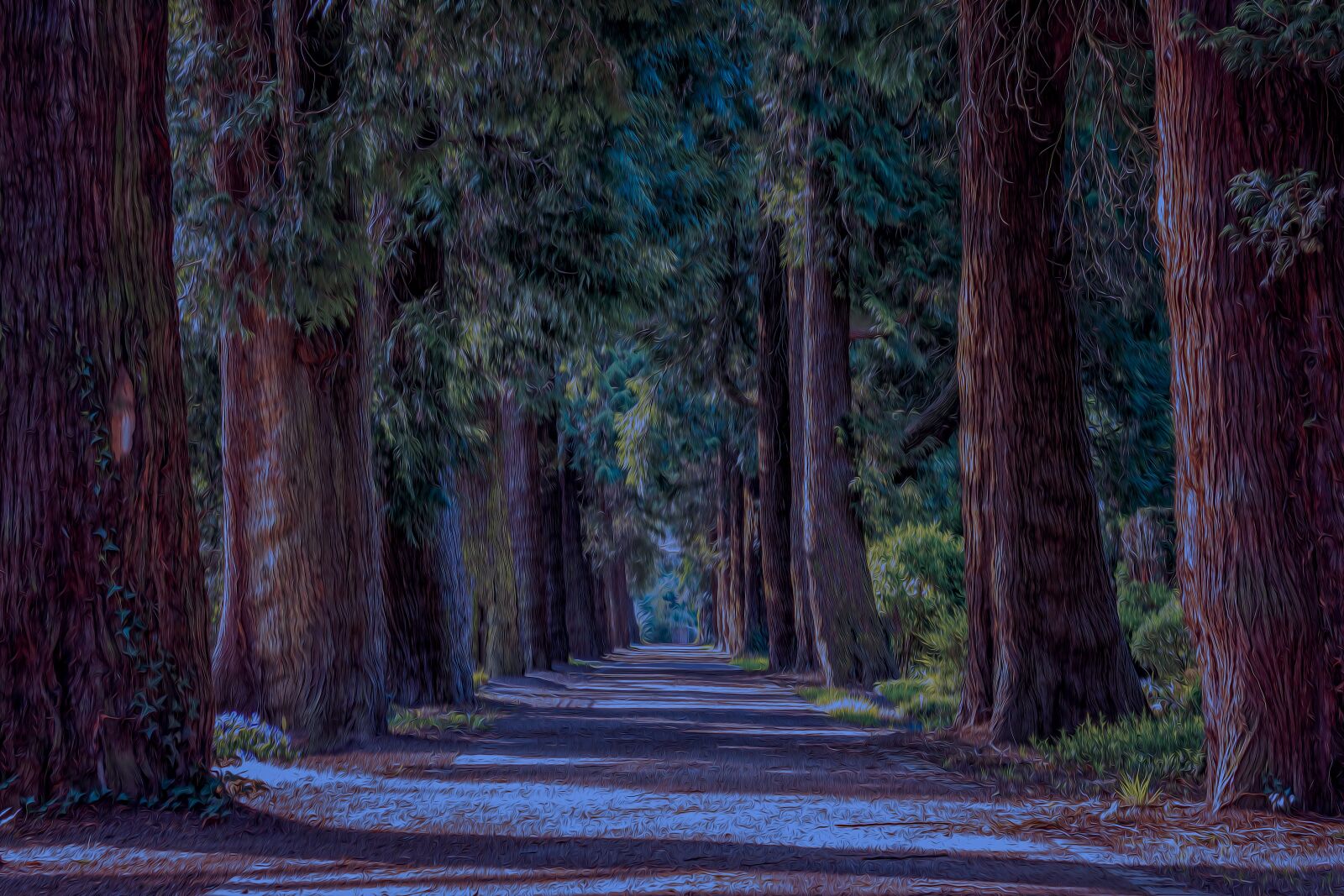 Nikon D3300 sample photo. Avenue, trees, away photography
