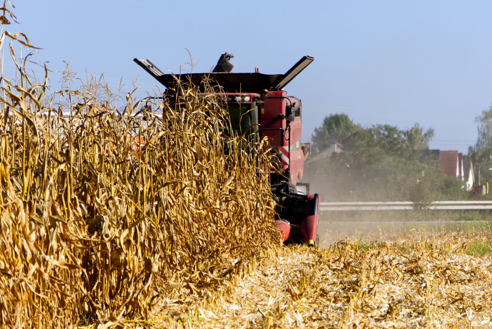 Sony a6000 sample photo. Corn, harvest, combine harvester photography