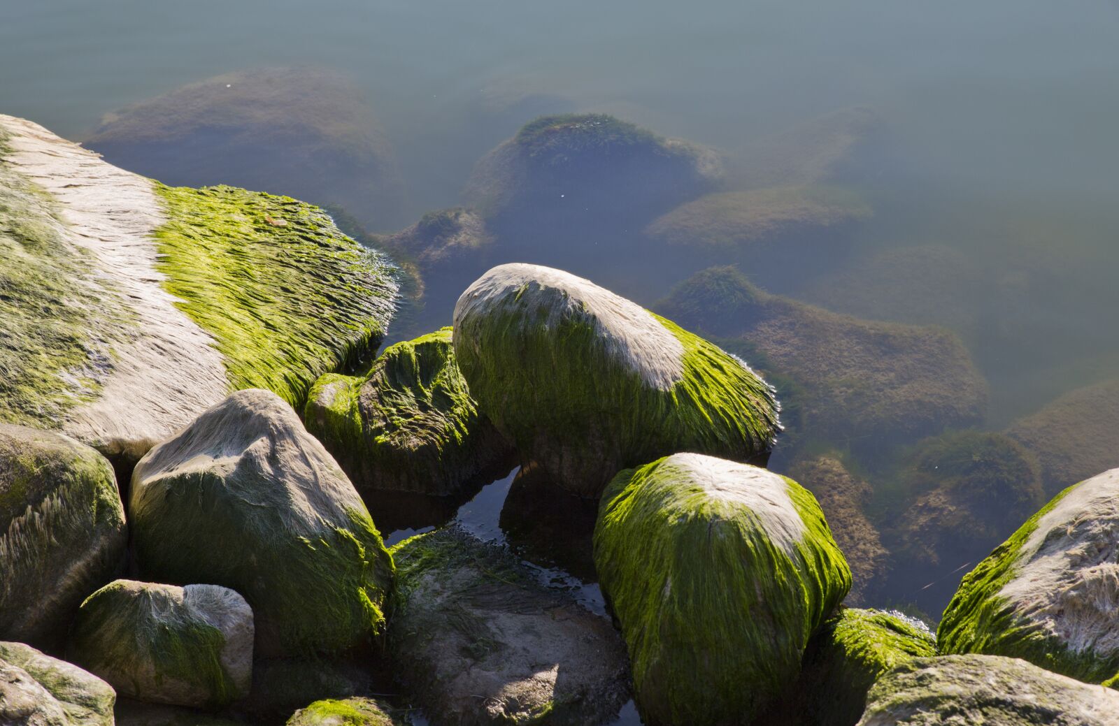 Canon EOS 6D sample photo. Stone, water, nature photography