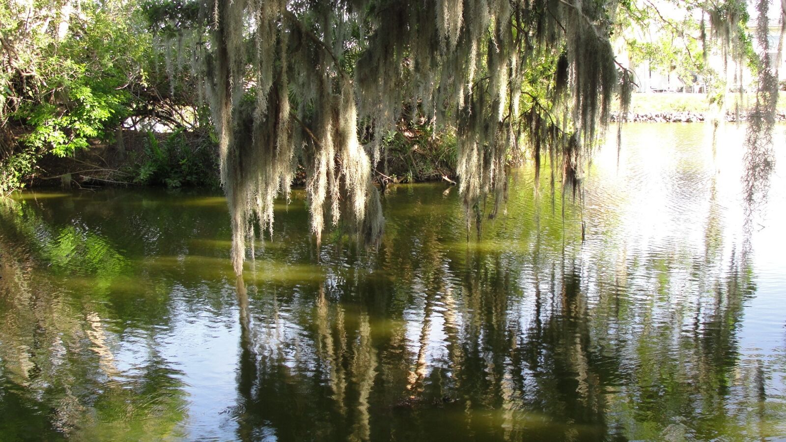 Sony Cyber-shot DSC-H20 sample photo. Reflection, water, nature photography