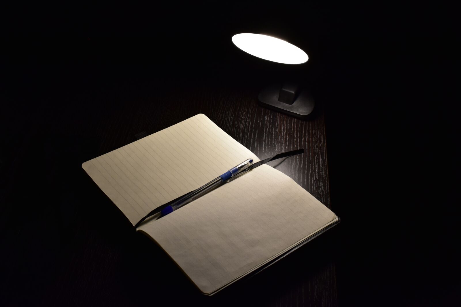Nikon D3400 sample photo. Darkness, study, pen photography