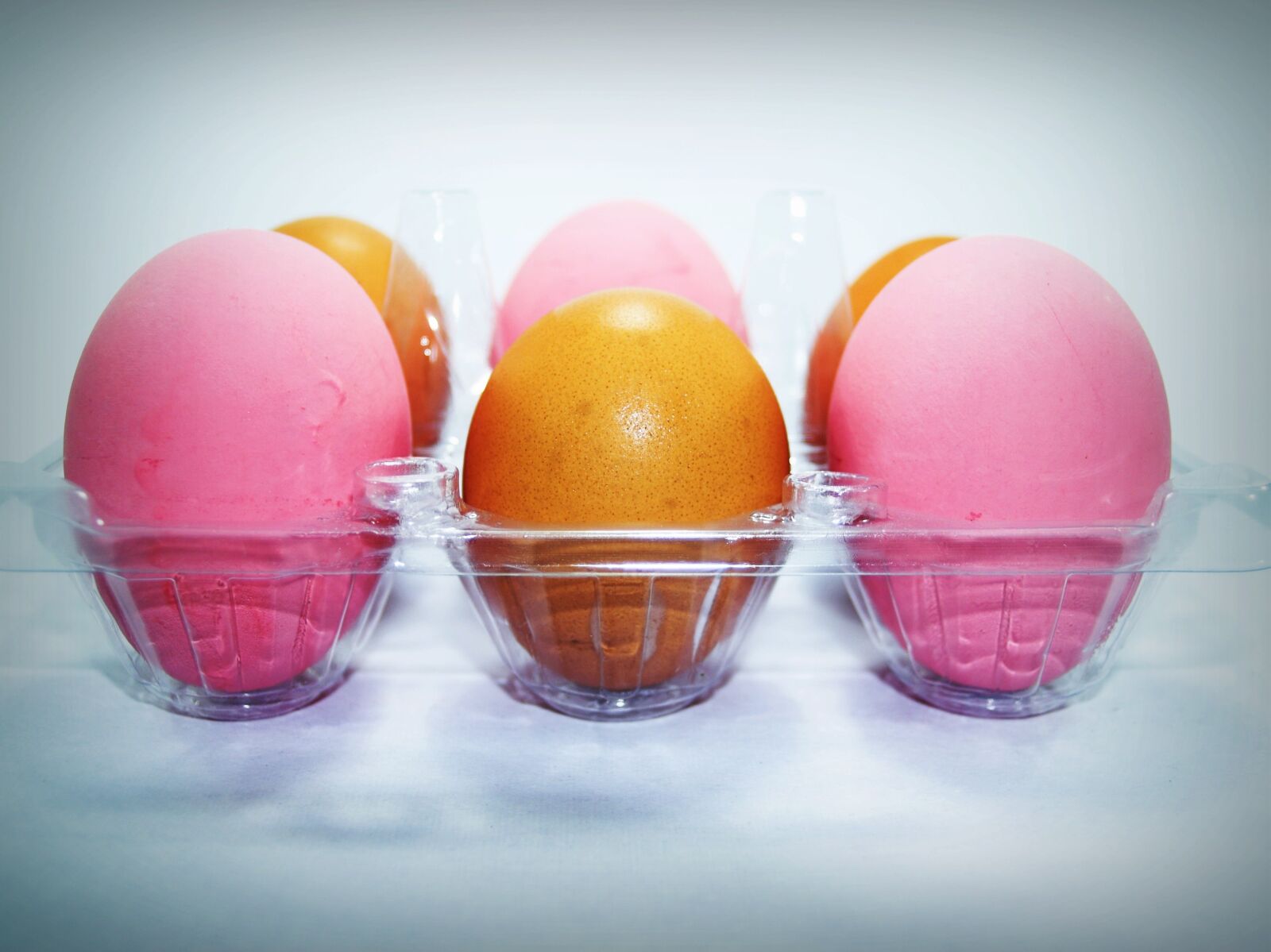 Olympus E-300 (EVOLT E-300) sample photo. Egg, fresh, cholesterol photography