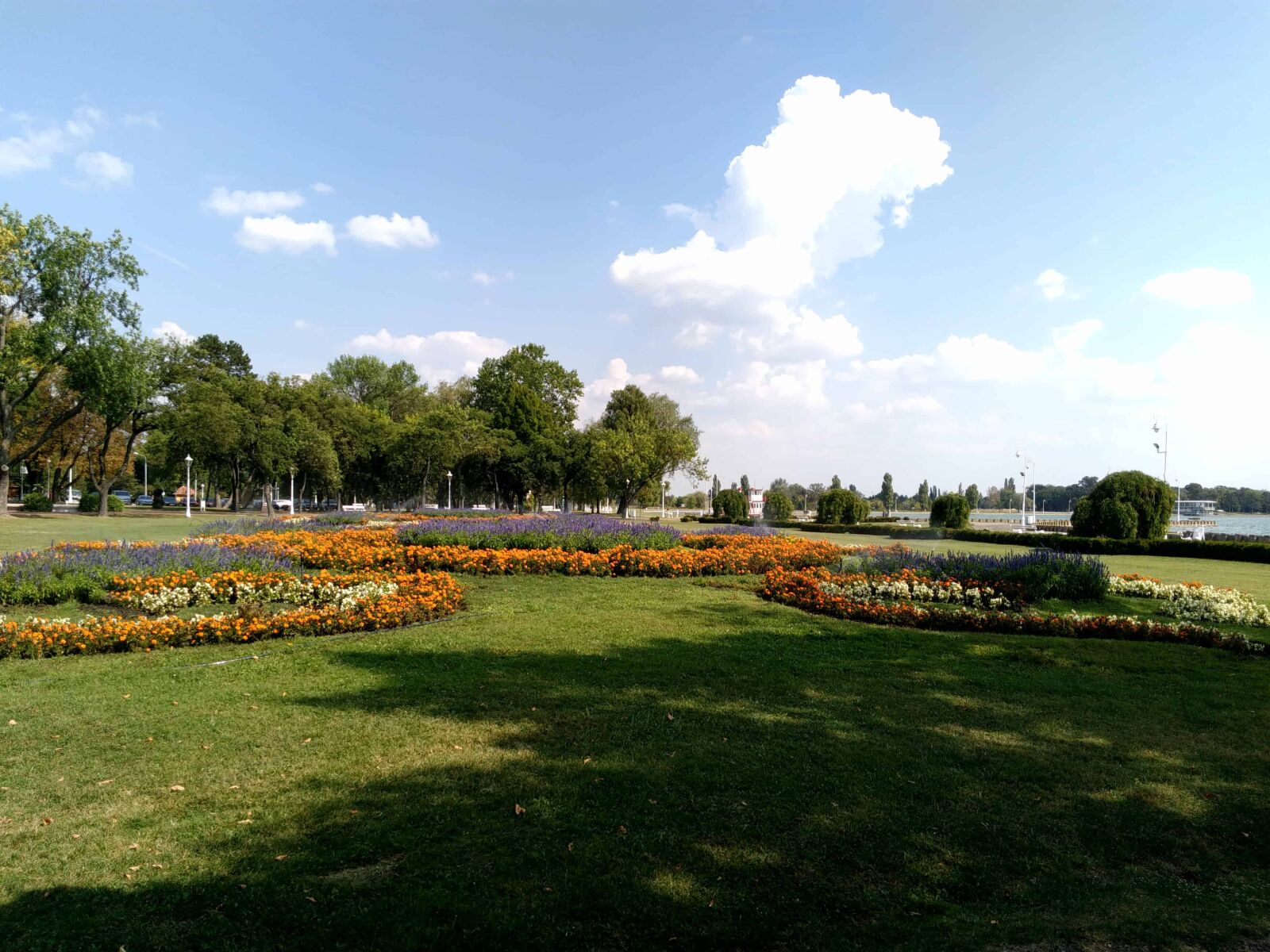 Lenovo S60-A sample photo. Landscape, tree, nature, grass photography