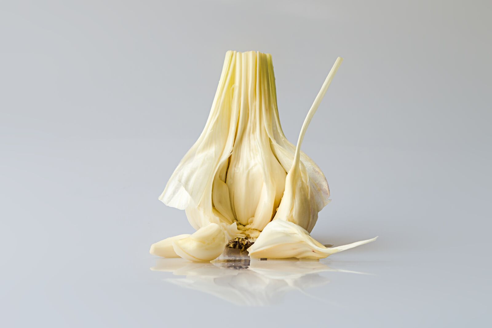 Nikon D800 sample photo. Garlic, head of garlic photography