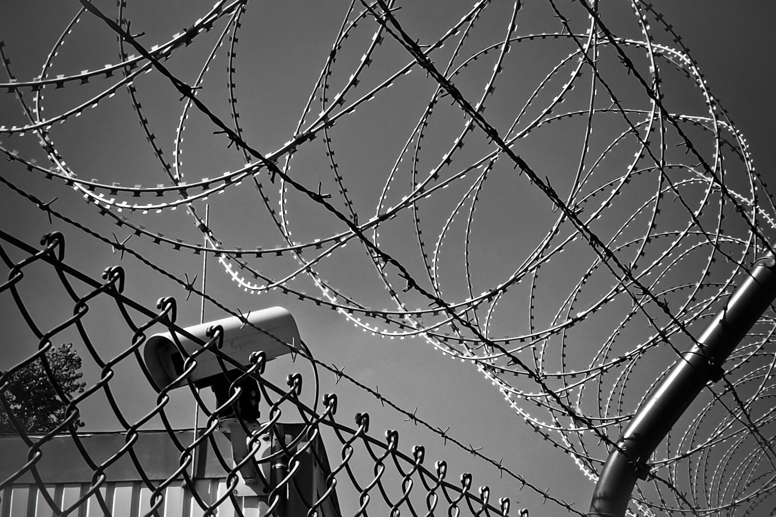 Olympus OM-D E-M10 sample photo. Barbed wire, video camera photography