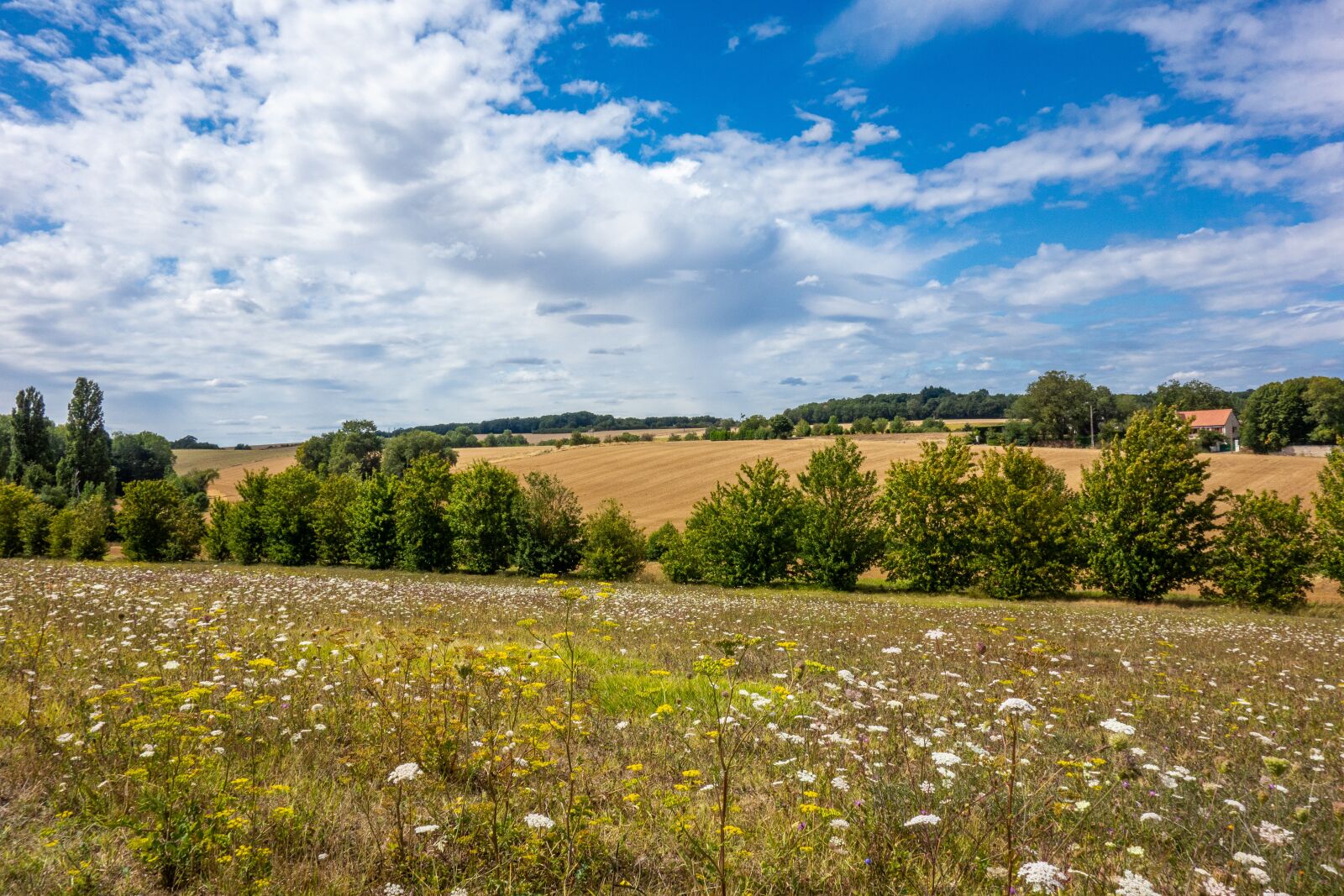 Sony Cyber-shot DSC-RX100 sample photo. Landscape, france, normandy photography