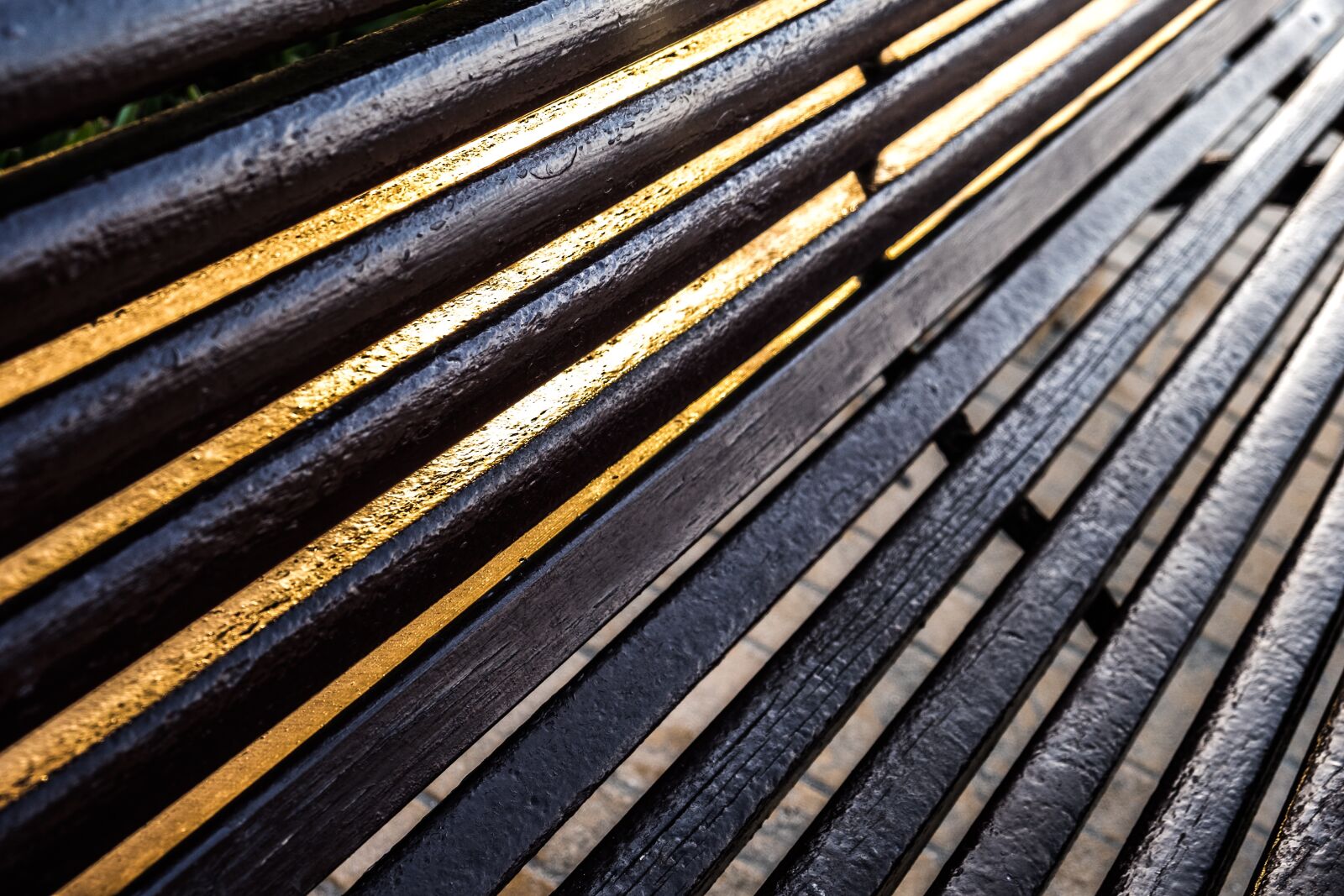 Fujifilm XF 18-55mm F2.8-4 R LM OIS sample photo. Bank, wood, dawn photography