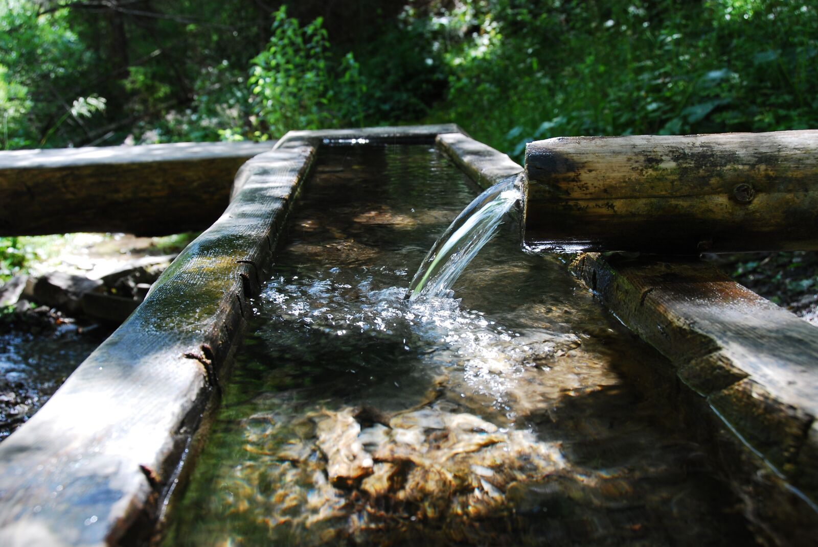 Nikon D80 sample photo. Water, tube, fountain photography