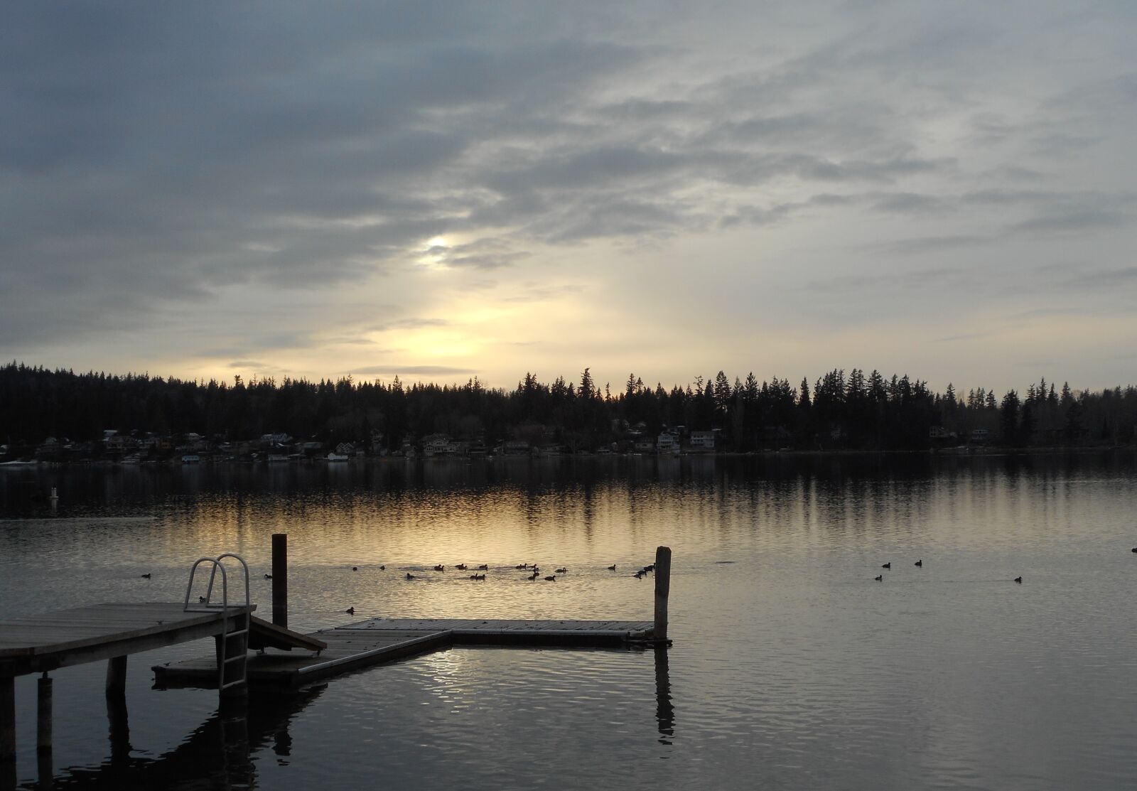Nikon Coolpix S3700 sample photo. Ducks, lake, sunset photography