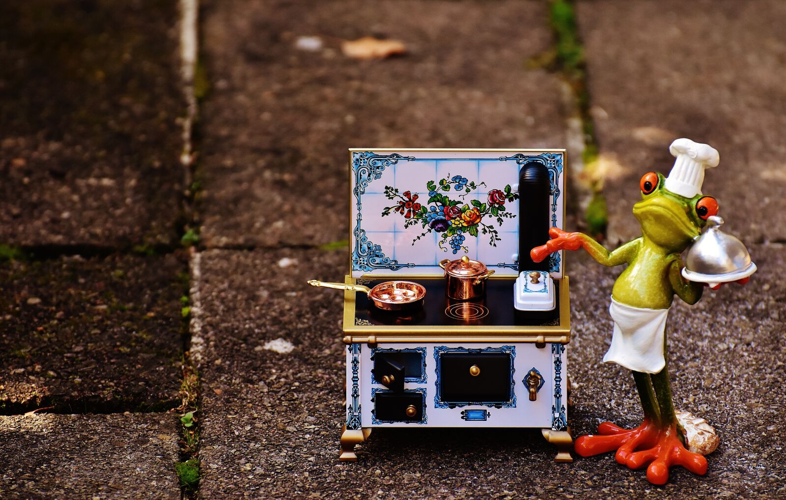 Nikon D7200 sample photo. Frog, cooking, stove photography