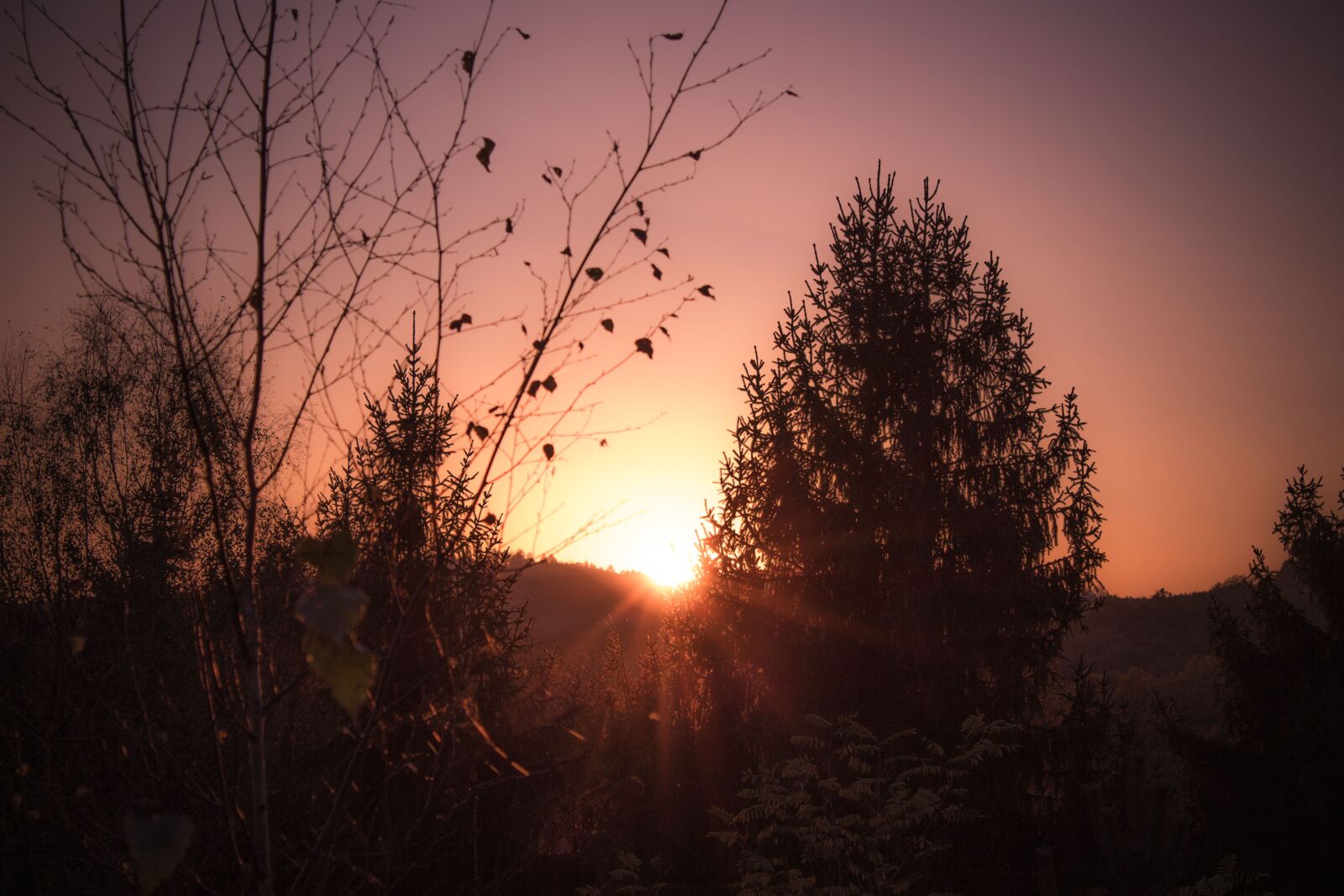 Canon EOS 1300D (EOS Rebel T6 / EOS Kiss X80) sample photo. Sunset, warm, nature photography