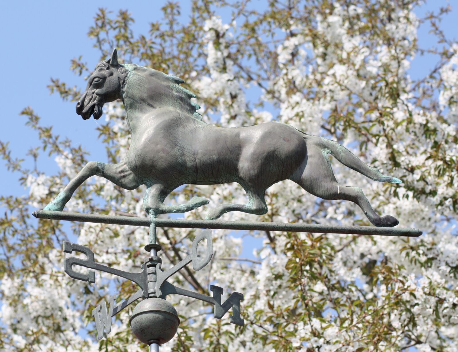 Canon EOS 450D (EOS Rebel XSi / EOS Kiss X2) sample photo. Horse, weather vane, compass photography