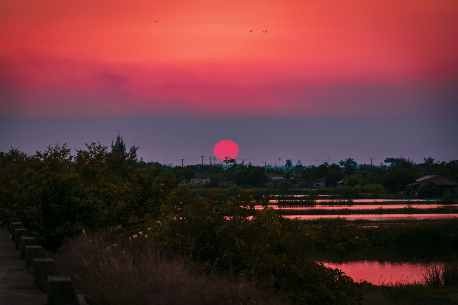 Nikon D7100 sample photo. Sun, red sun, sunset photography