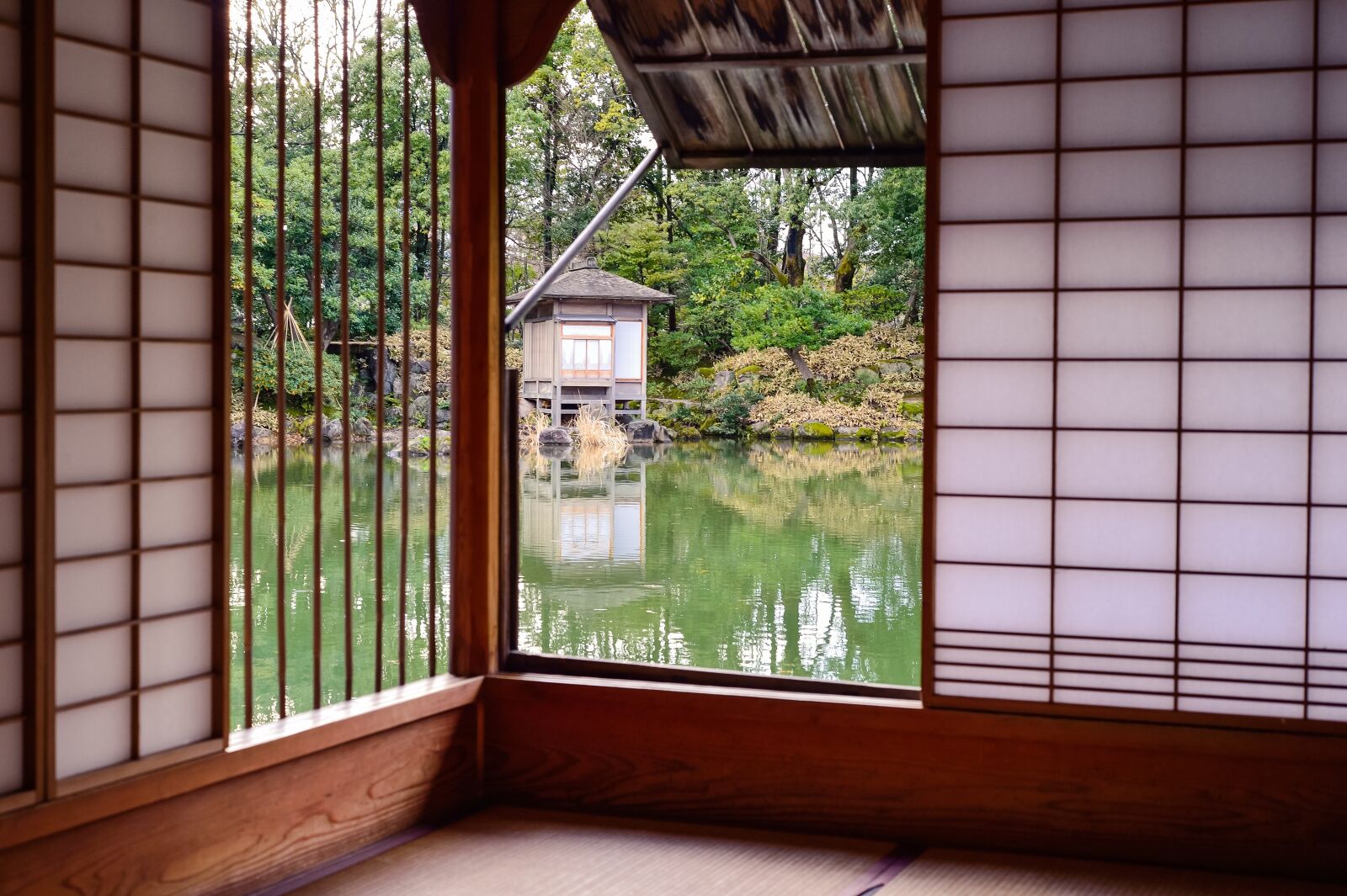 Nikon Df sample photo. Japan, landscape, houses photography