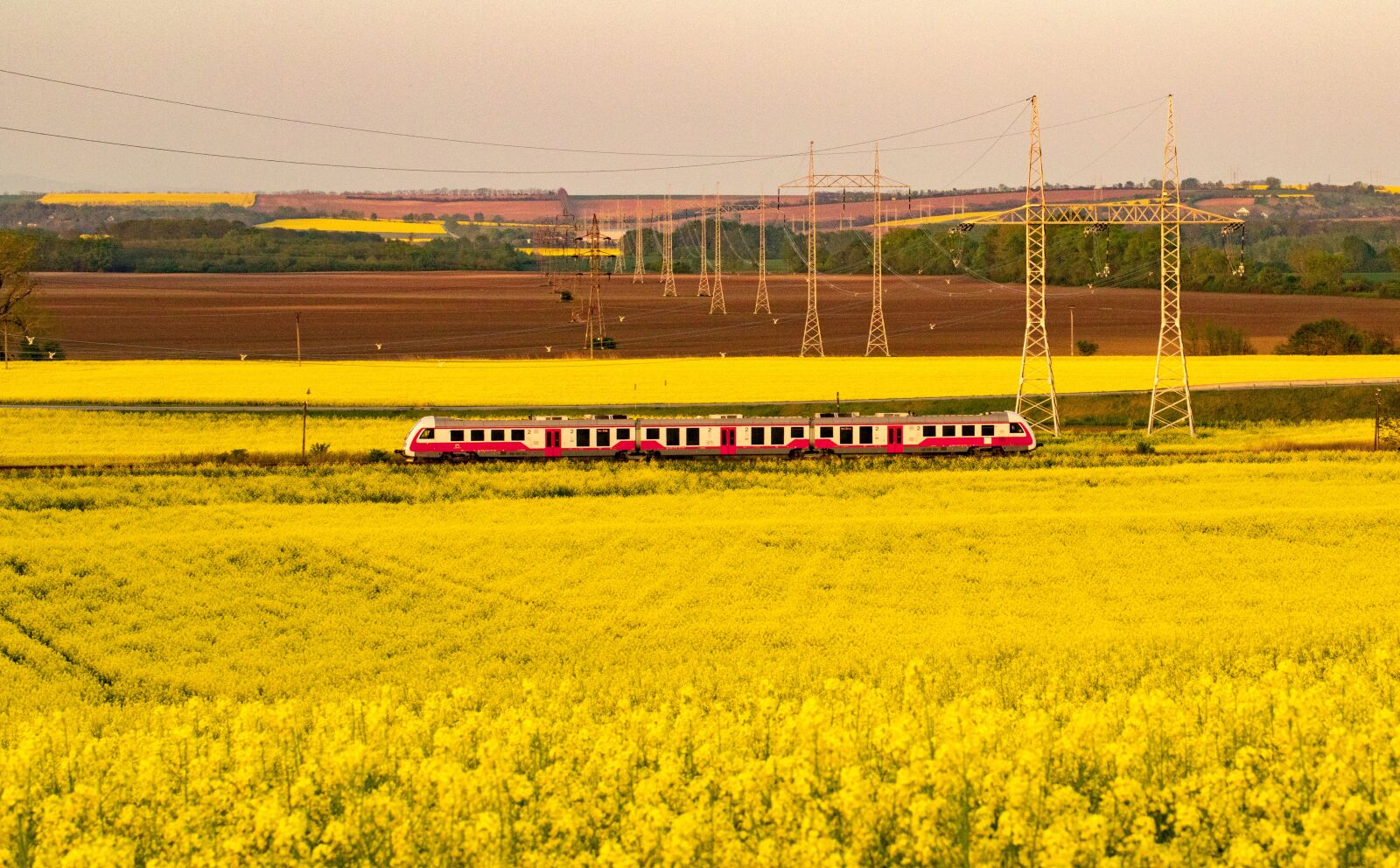 Canon EOS 6D Mark II sample photo. Rape, travel, train photography