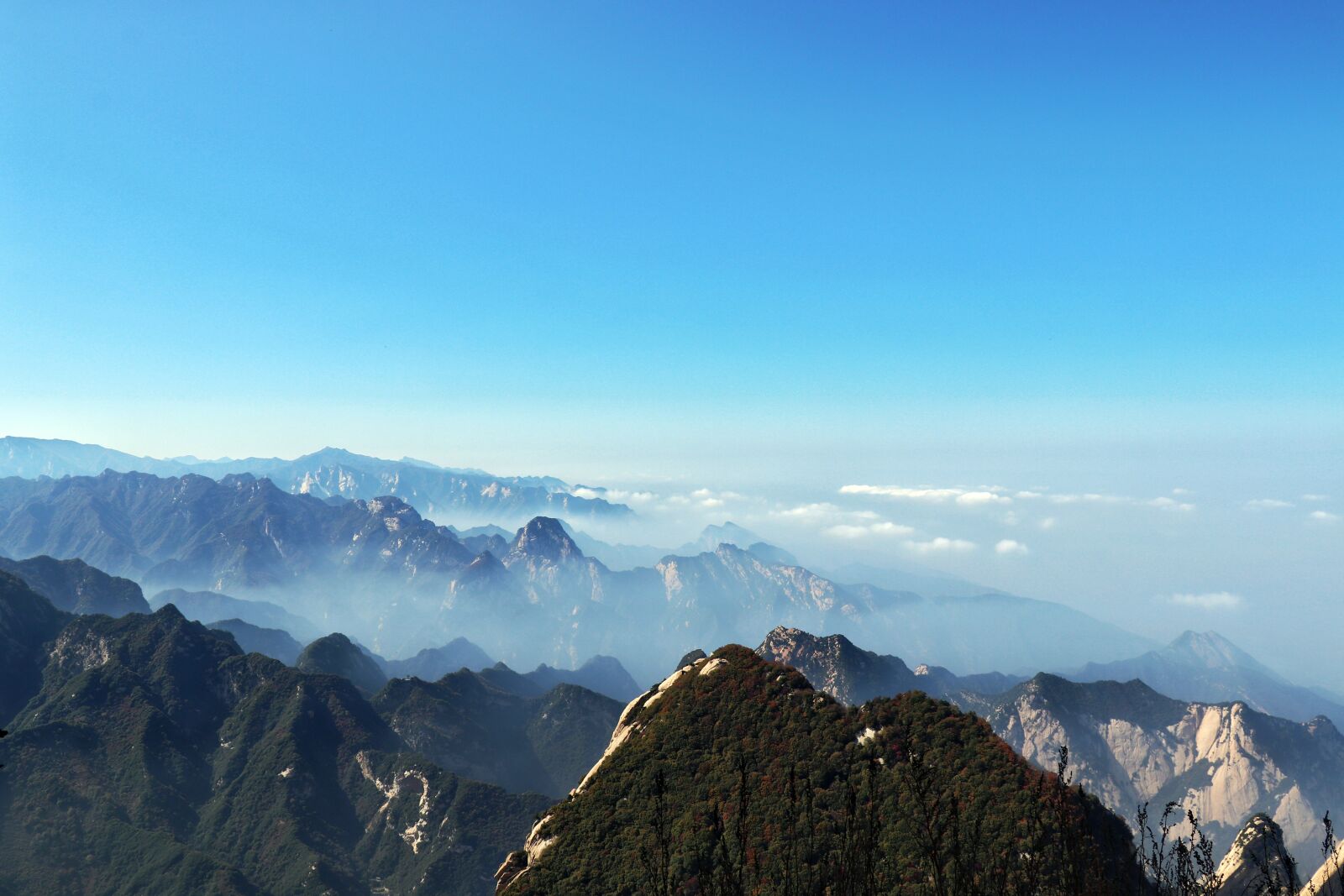 Canon EF-S 18-135mm F3.5-5.6 IS USM sample photo. China, shaanxi province, pinus photography
