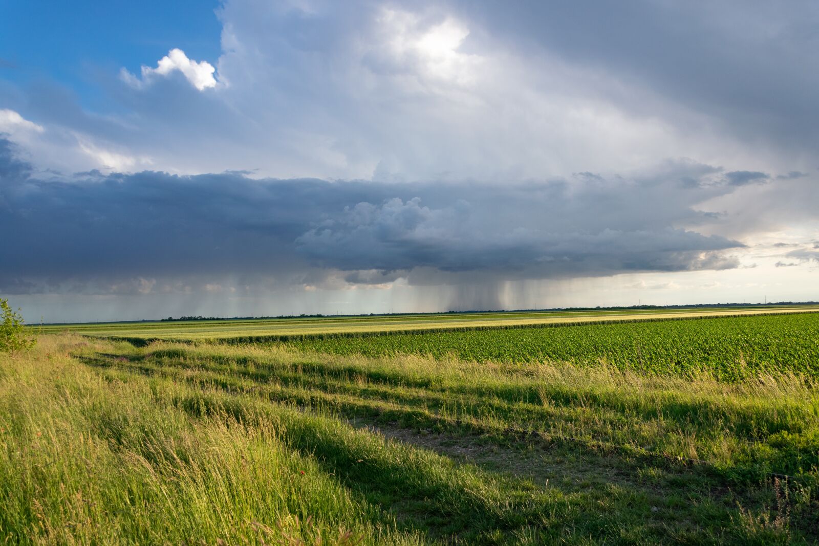 Nikon D3300 sample photo. Storm, clouds, sky photography