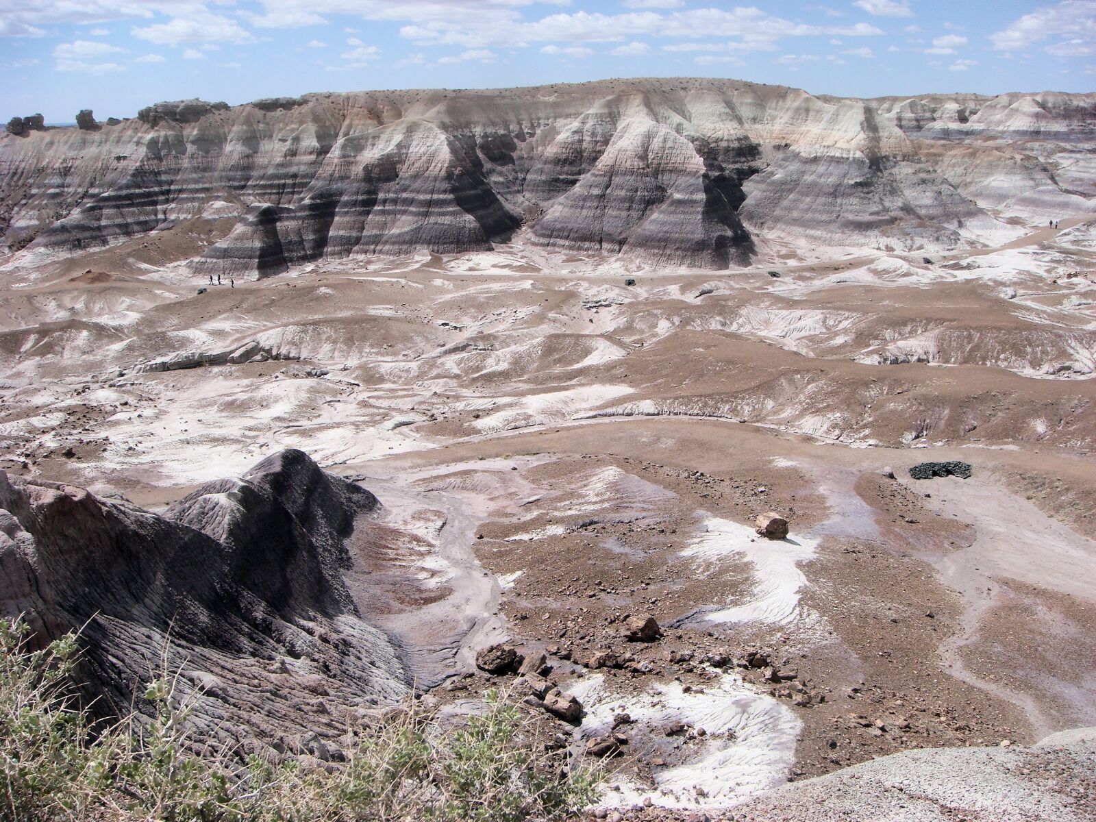 Sony DSC-T100 sample photo. Petrified forest national park photography
