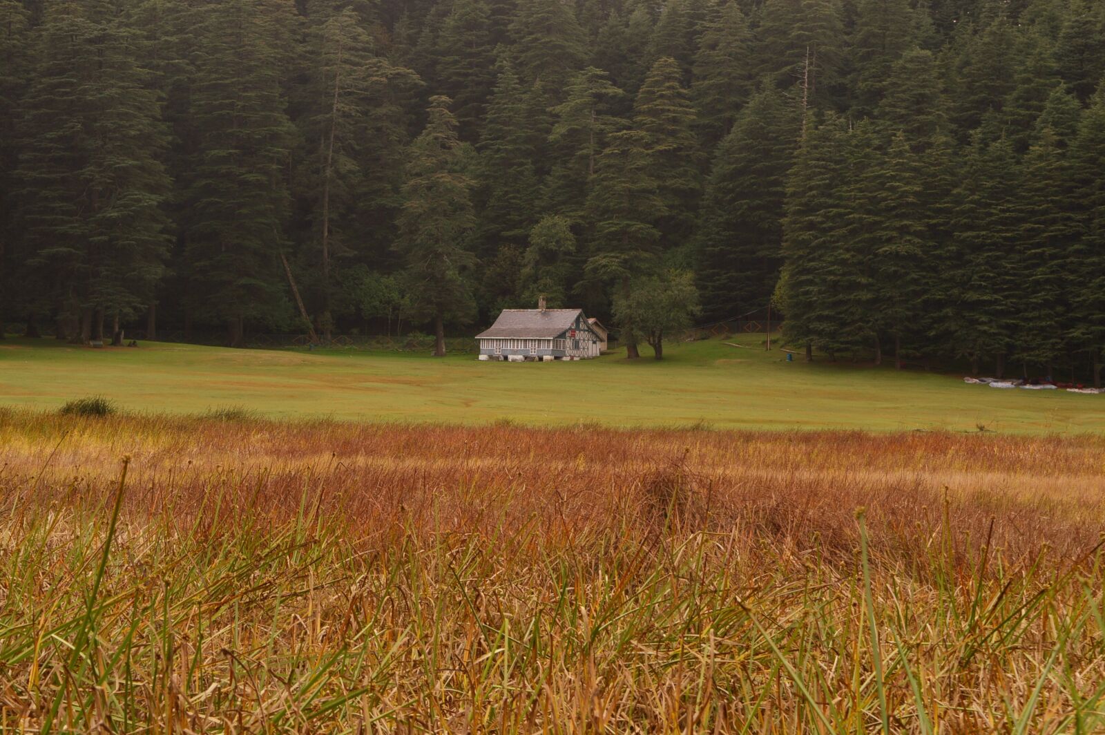 Nikon D3200 sample photo. Serene, himachal, outdoor photography