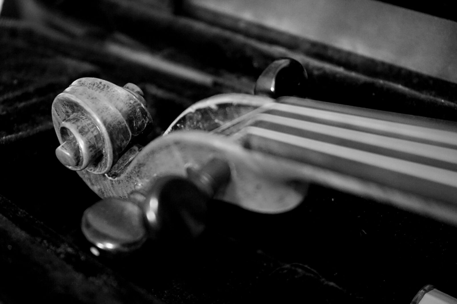 Sony a7 II sample photo. Violin, music, sound photography