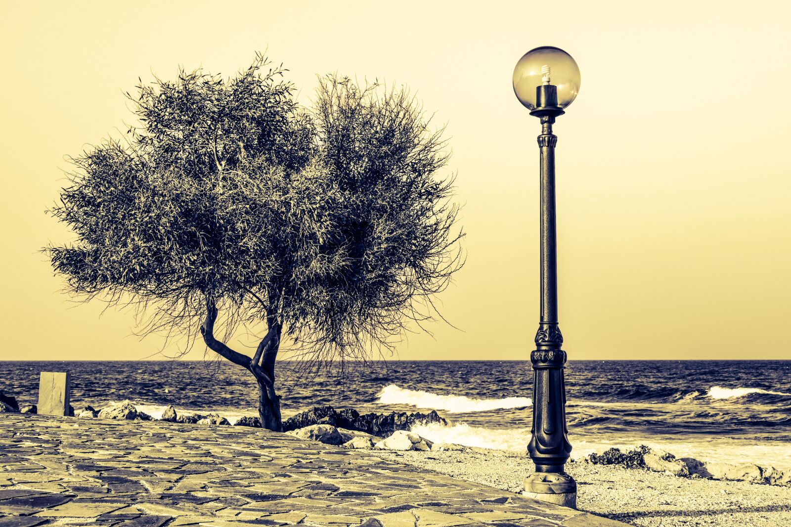 Nikon D3300 sample photo. Tree, lantern, lamp photography