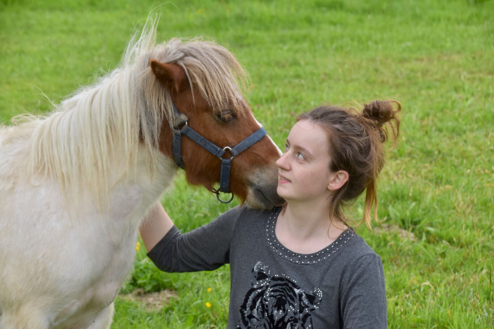 Nikon D5600 sample photo. Pony, young girl lou photography