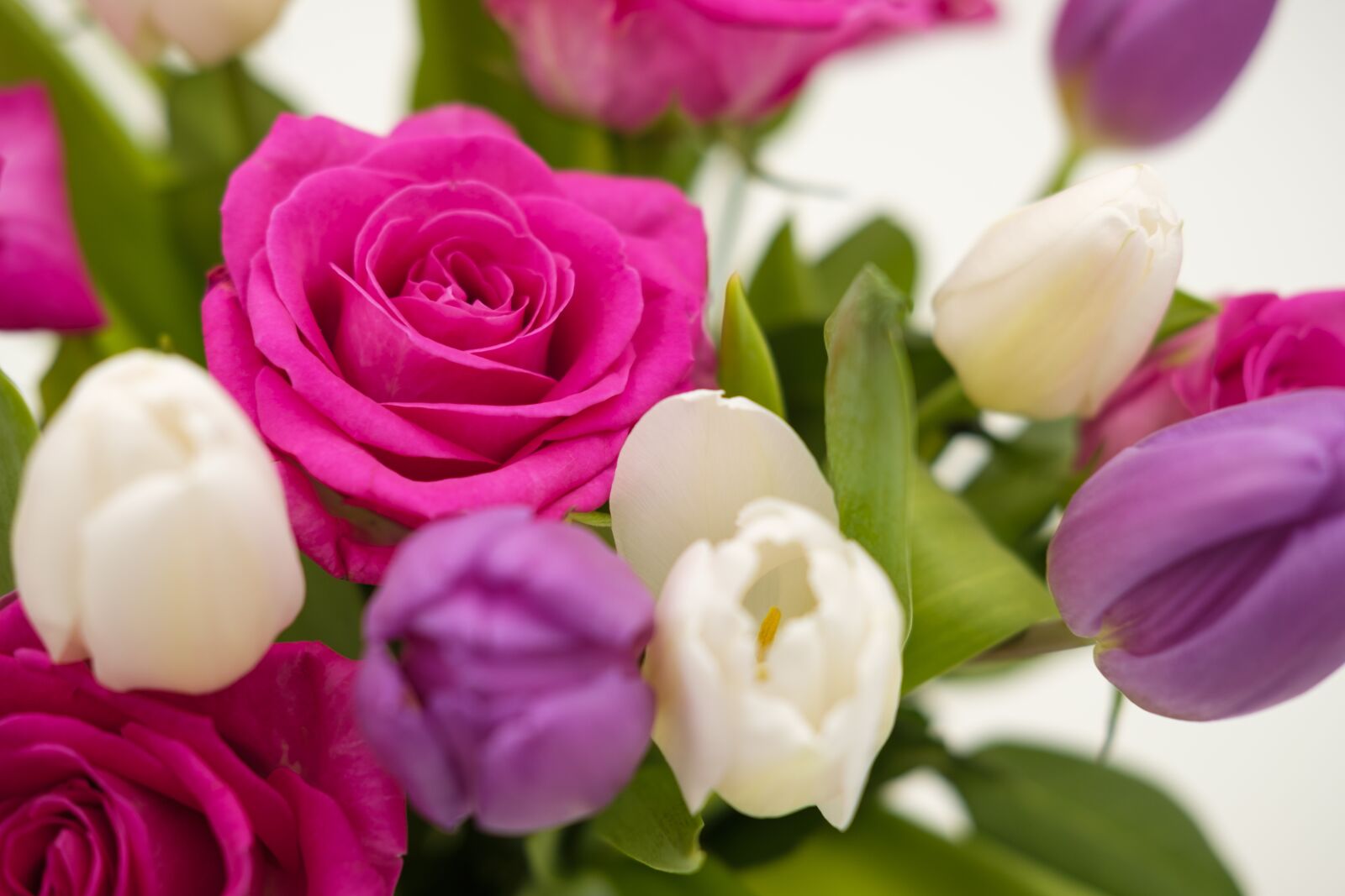 Fujifilm X-T2 + Fujifilm XF 35mm F2 R WR sample photo. Bouquet, bouquet of roses photography