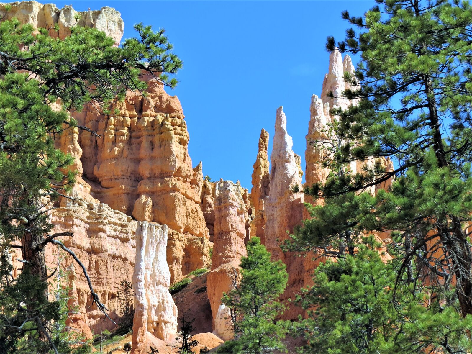 Canon PowerShot SX50 HS sample photo. Bryce canyon, red sandstone photography