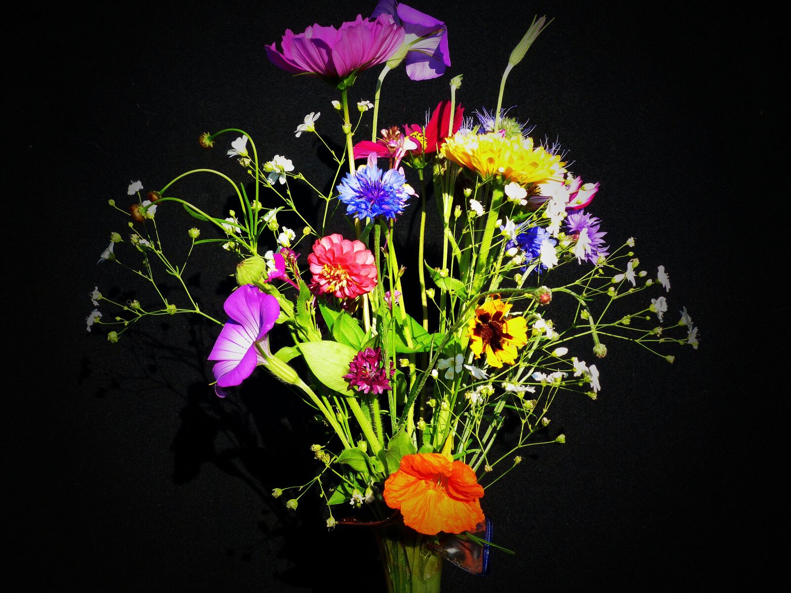 Panasonic Lumix DMC-FZ200 sample photo. Birthday bouquet, wildflowers, pointed photography