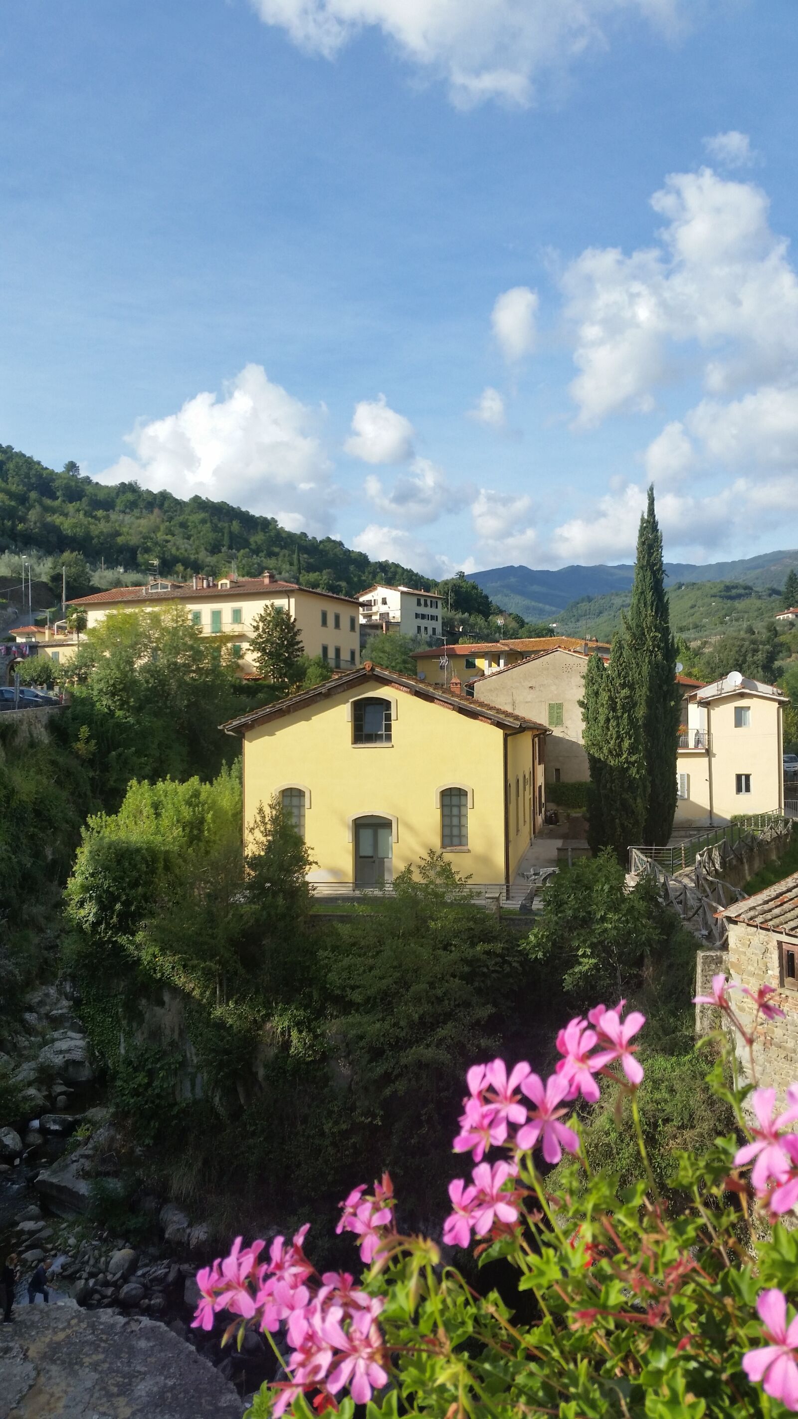 Samsung Galaxy S5 sample photo. Tuscany, italy, summer 2019 photography