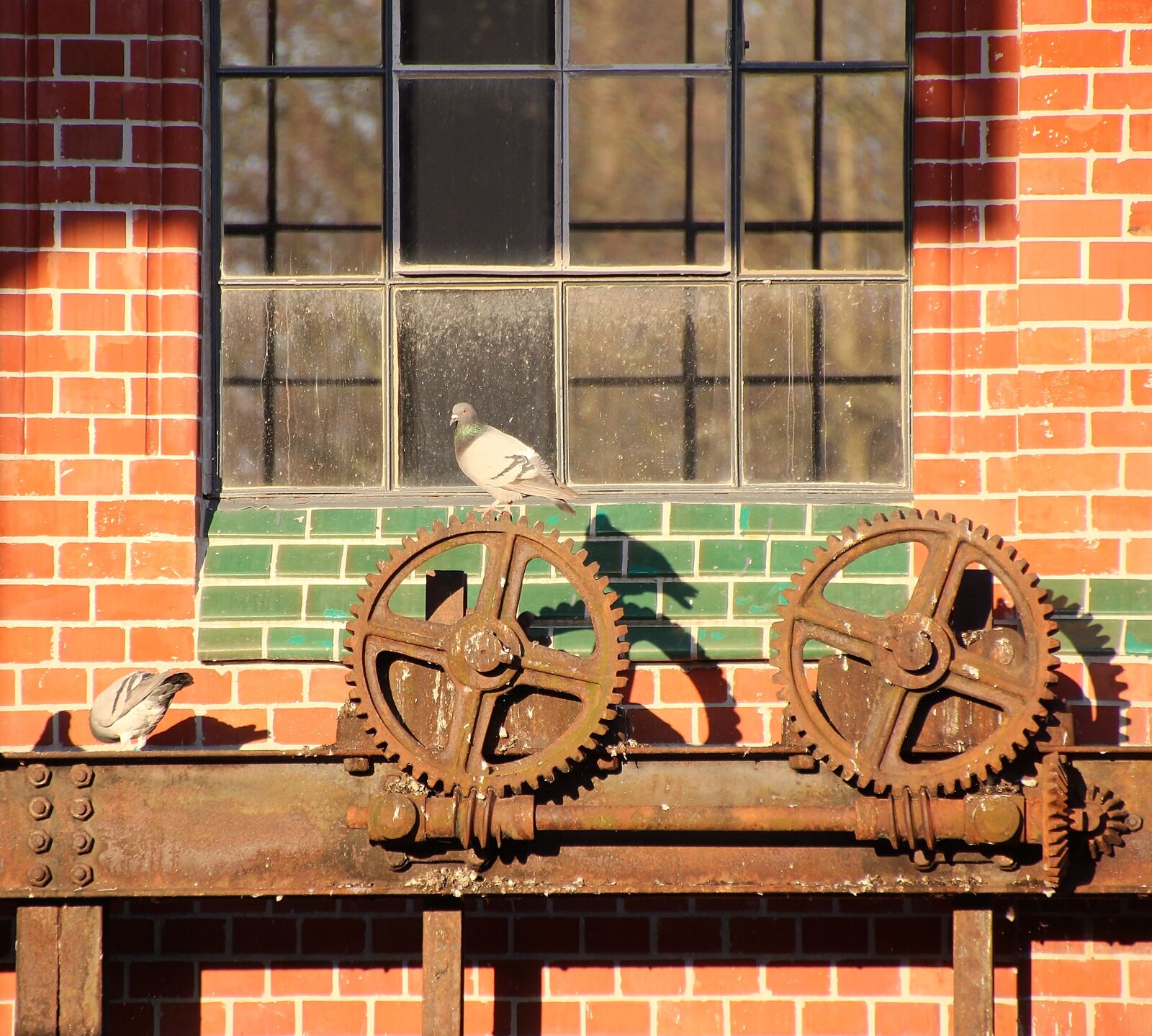 Canon EOS 650D (EOS Rebel T4i / EOS Kiss X6i) sample photo. Pigeons, gears, wall photography