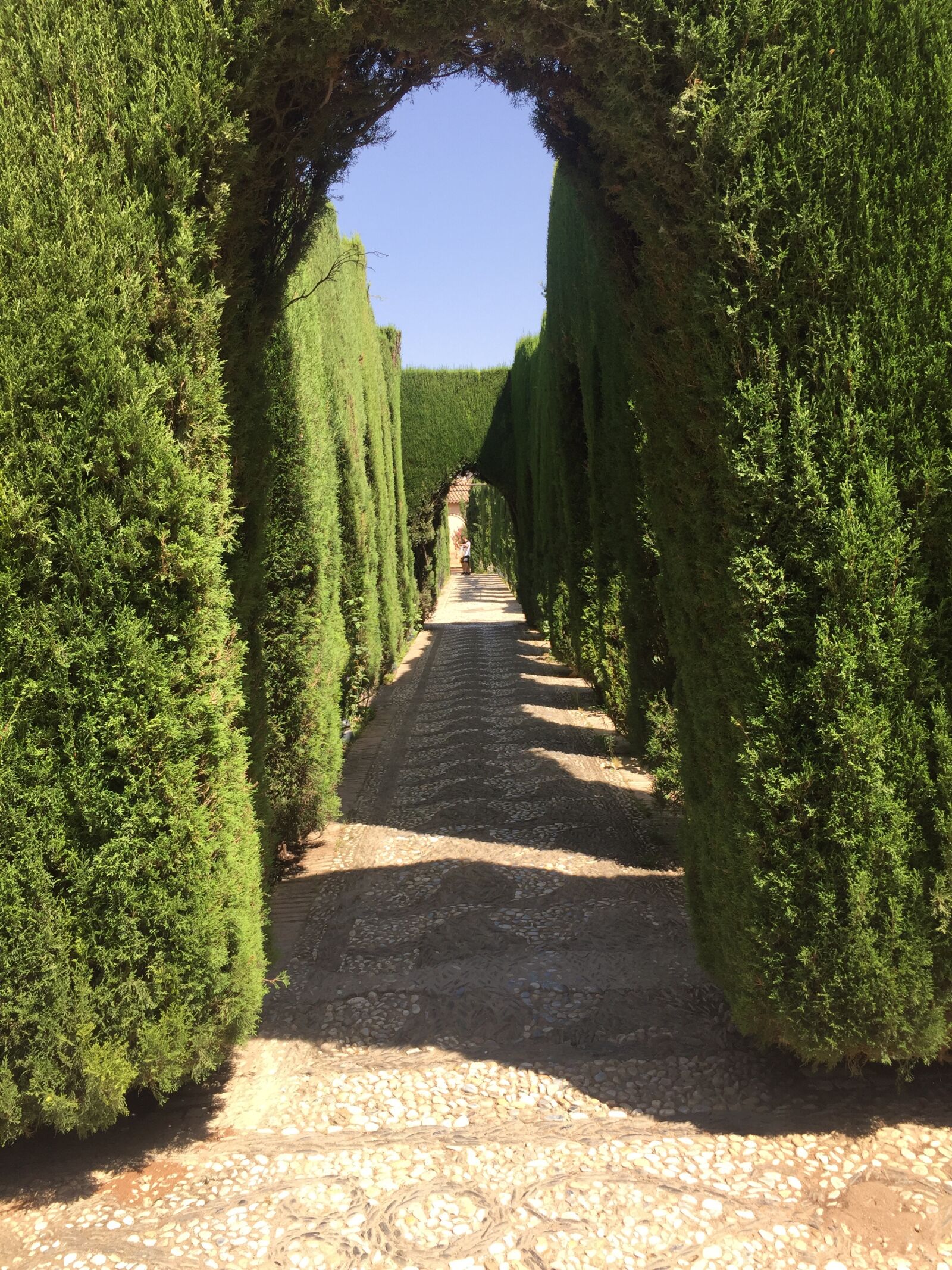 Apple iPhone 6 sample photo. Alhambra, gardens, spain photography