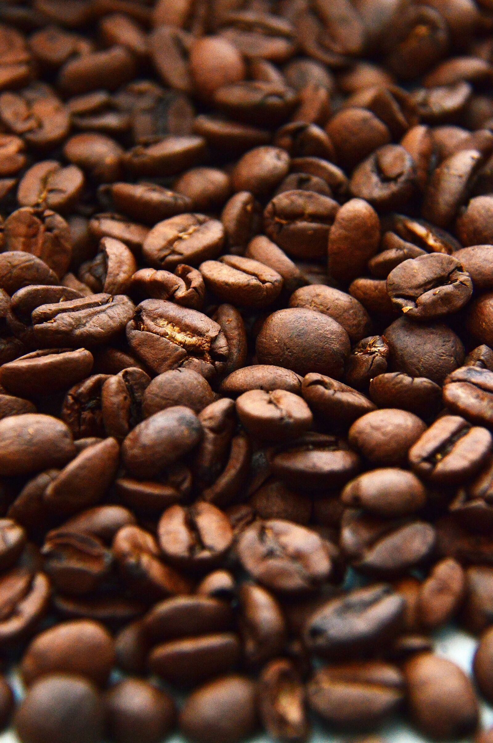 Nikon D3200 sample photo. Coffee, caffeine, espresso photography