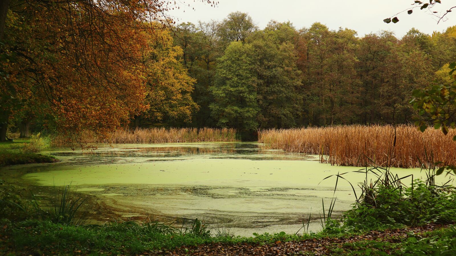 Canon EF-M 15-45mm F3.5-6.3 IS STM sample photo. Landscape, autumn, lake photography