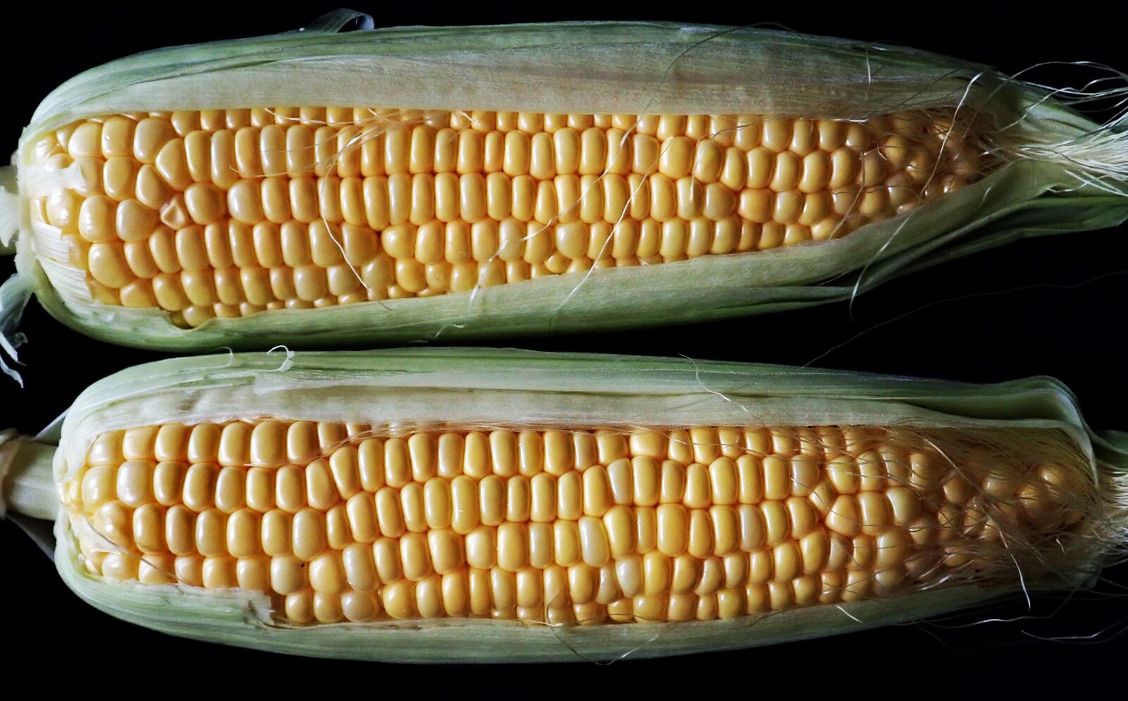 Olympus TG-5 sample photo. Sweet corn, vegetable, healthy photography