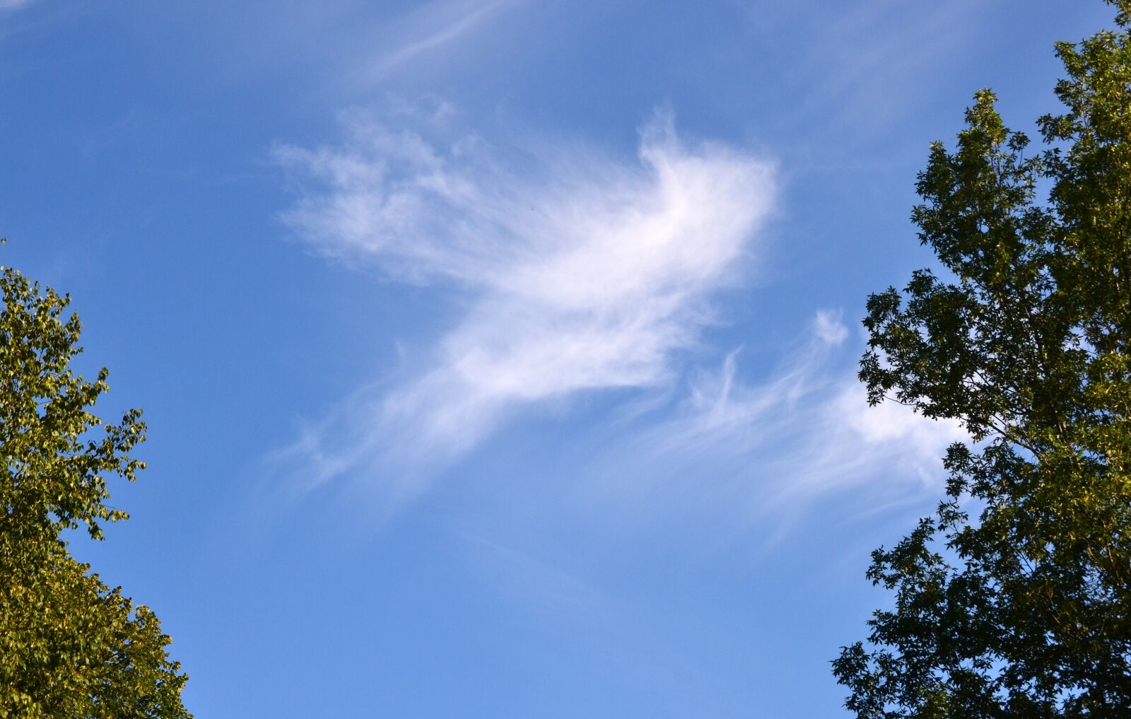 Nikon D3100 sample photo. Skyscaping, cloud, pattern photography