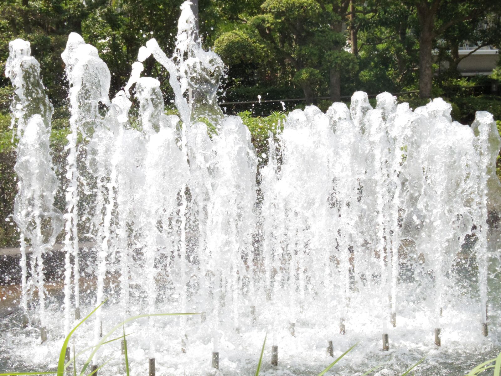Pentax Q7 sample photo. Fountain, park, garden photography