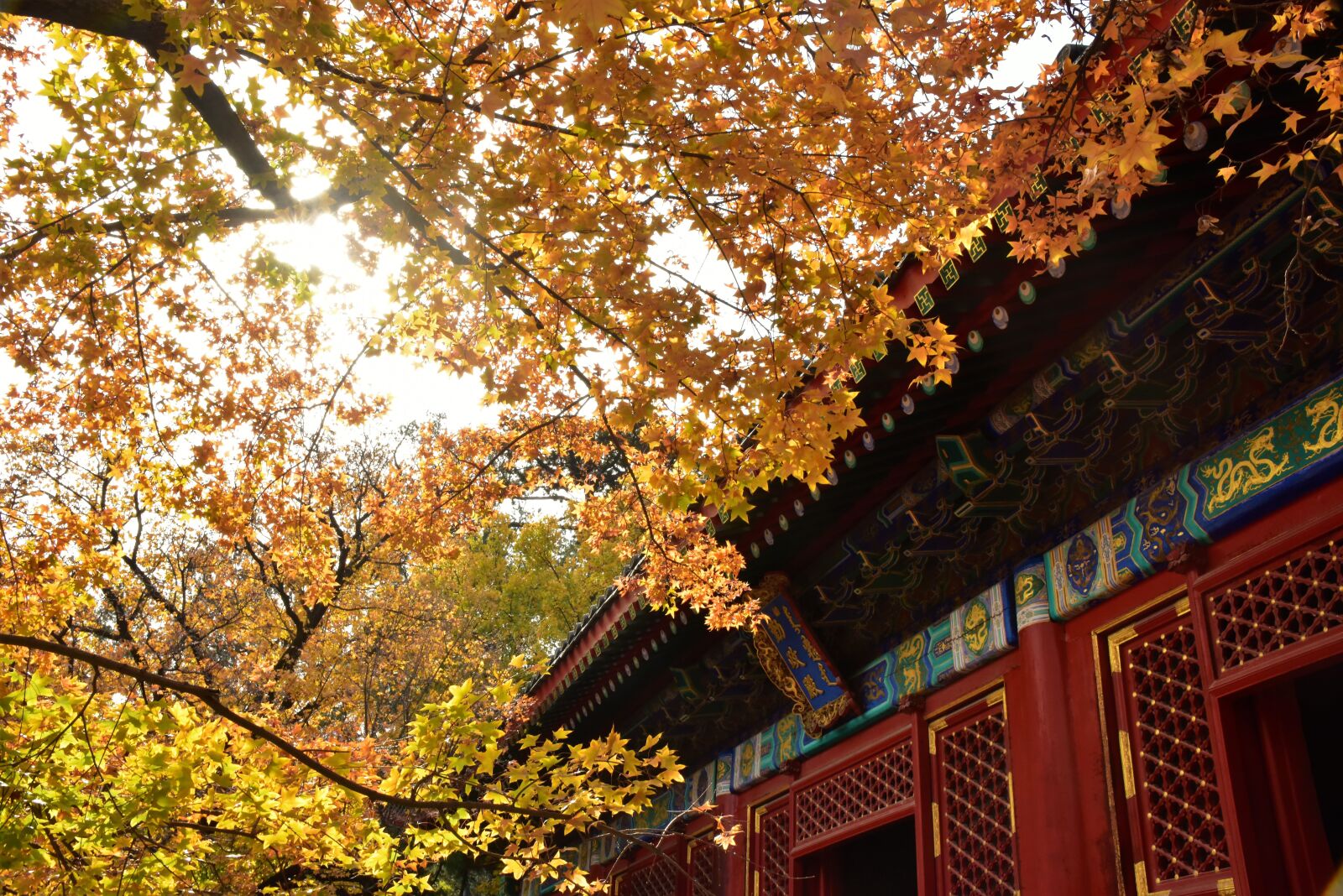 Nikon D810 sample photo. Ancient architecture, beijing, xiangshan photography
