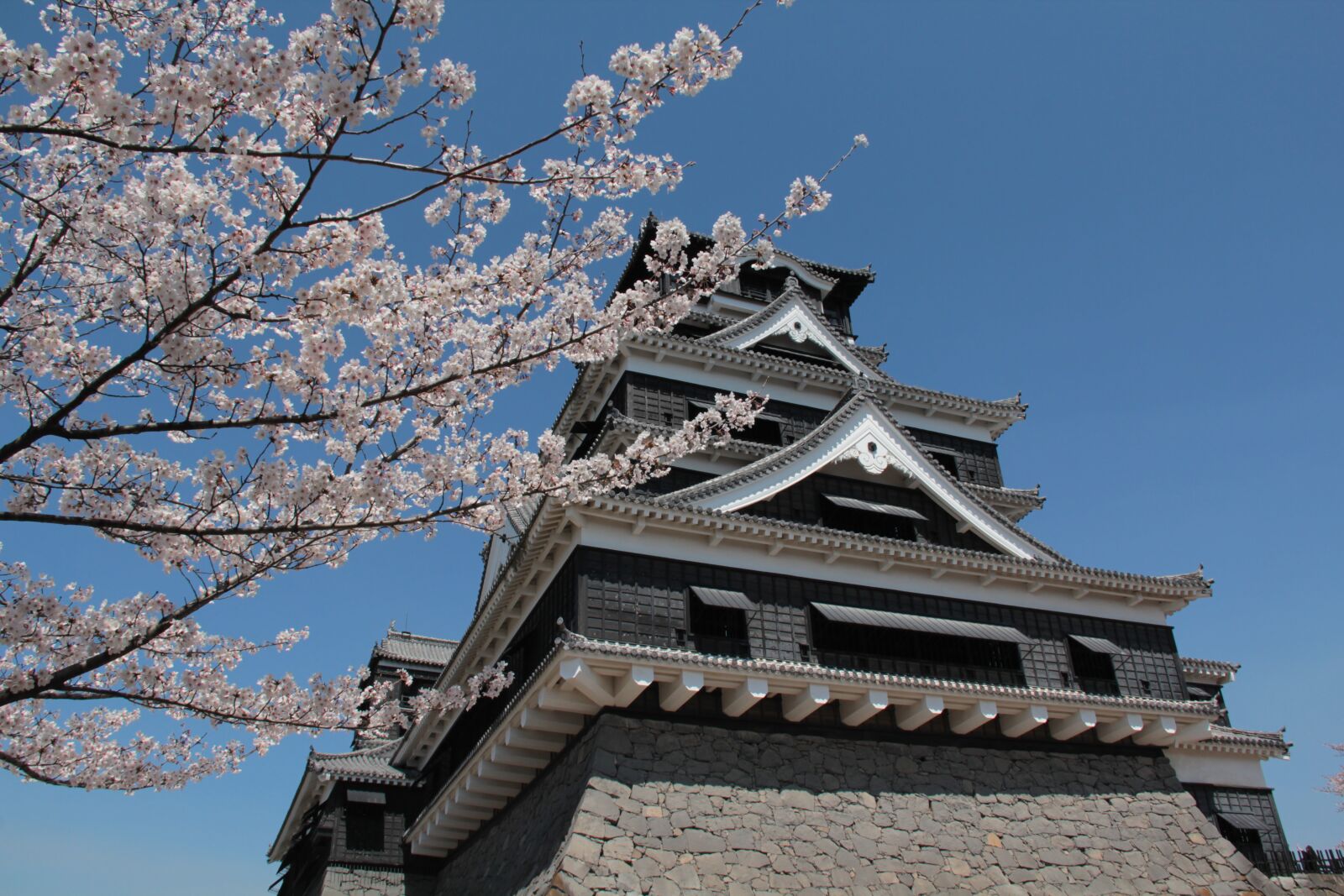 Canon EOS 60D sample photo. Japan, castle, kumamoto castle photography
