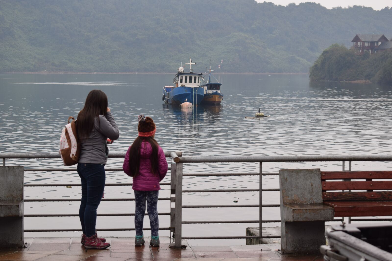 Nikon D3300 sample photo. Puerto montt, cove, angelmo photography
