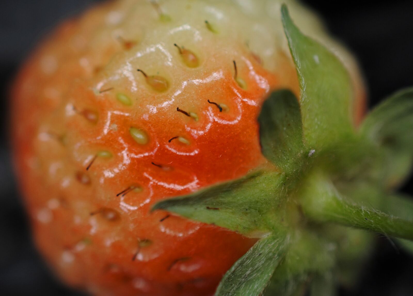 Nikon 1 V1 sample photo. Strawberry, fruit, harvest photography