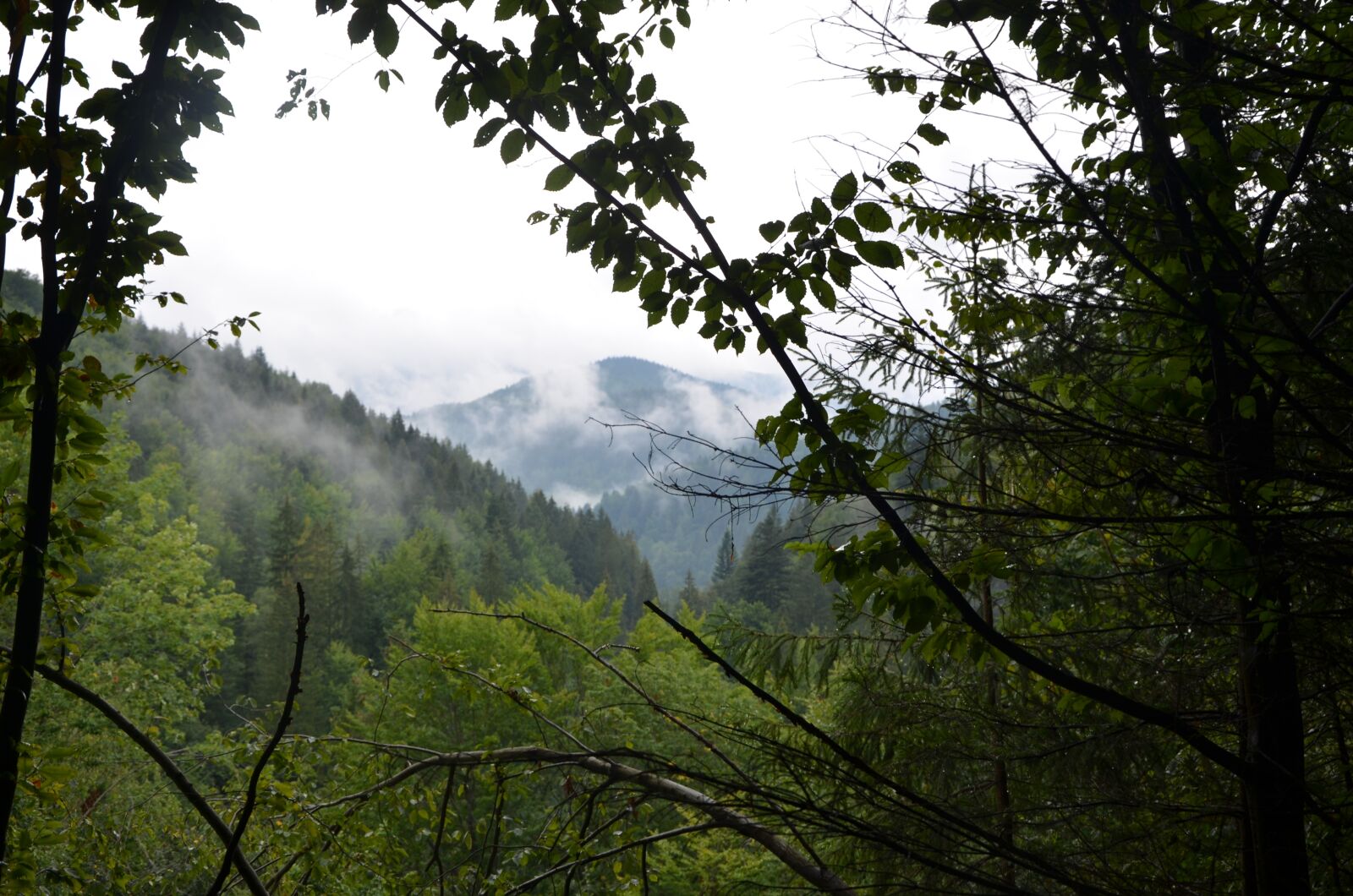 Nikon D7000 sample photo. Nature, mountains, fog photography