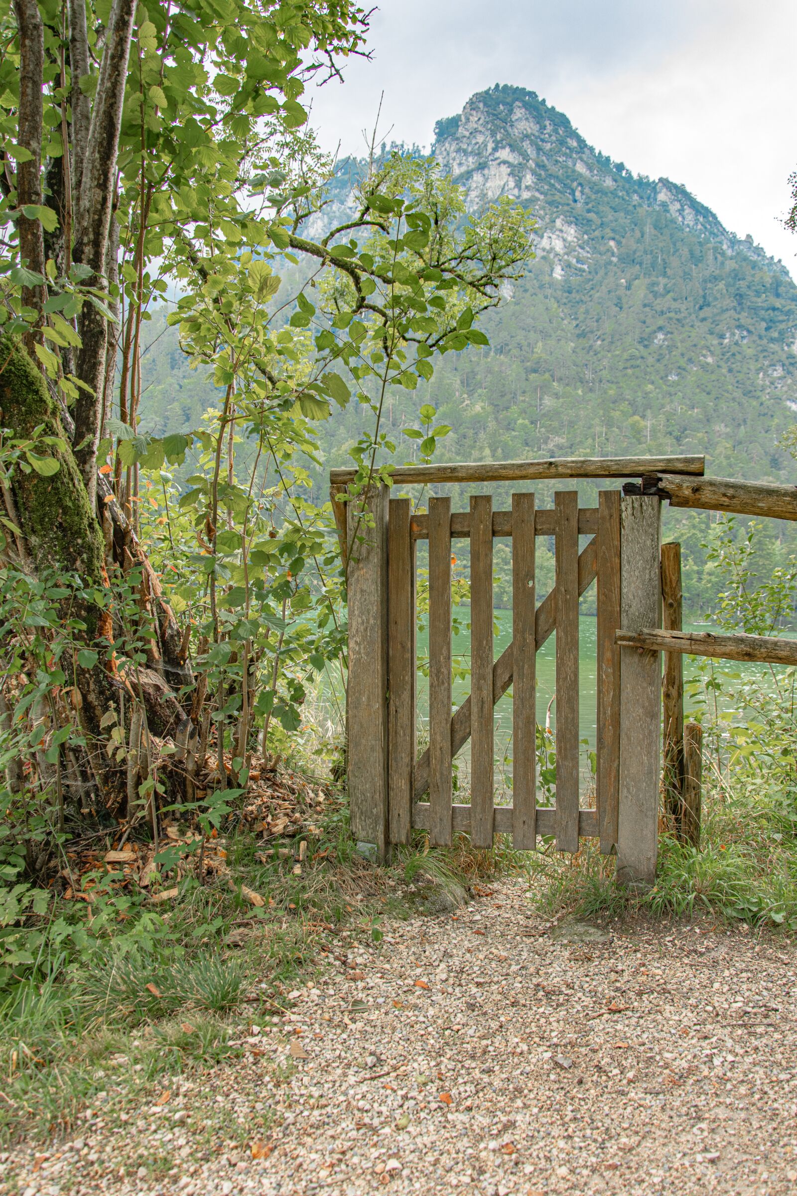 Nikon D500 sample photo. Garden gate, fence, goal photography