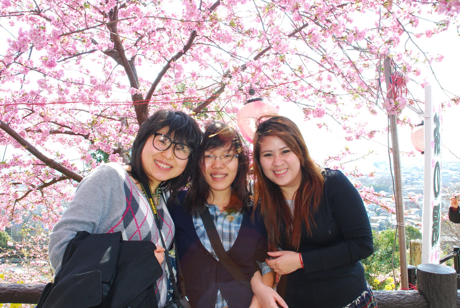 Nikon D80 sample photo. Woman, smile, friends photography