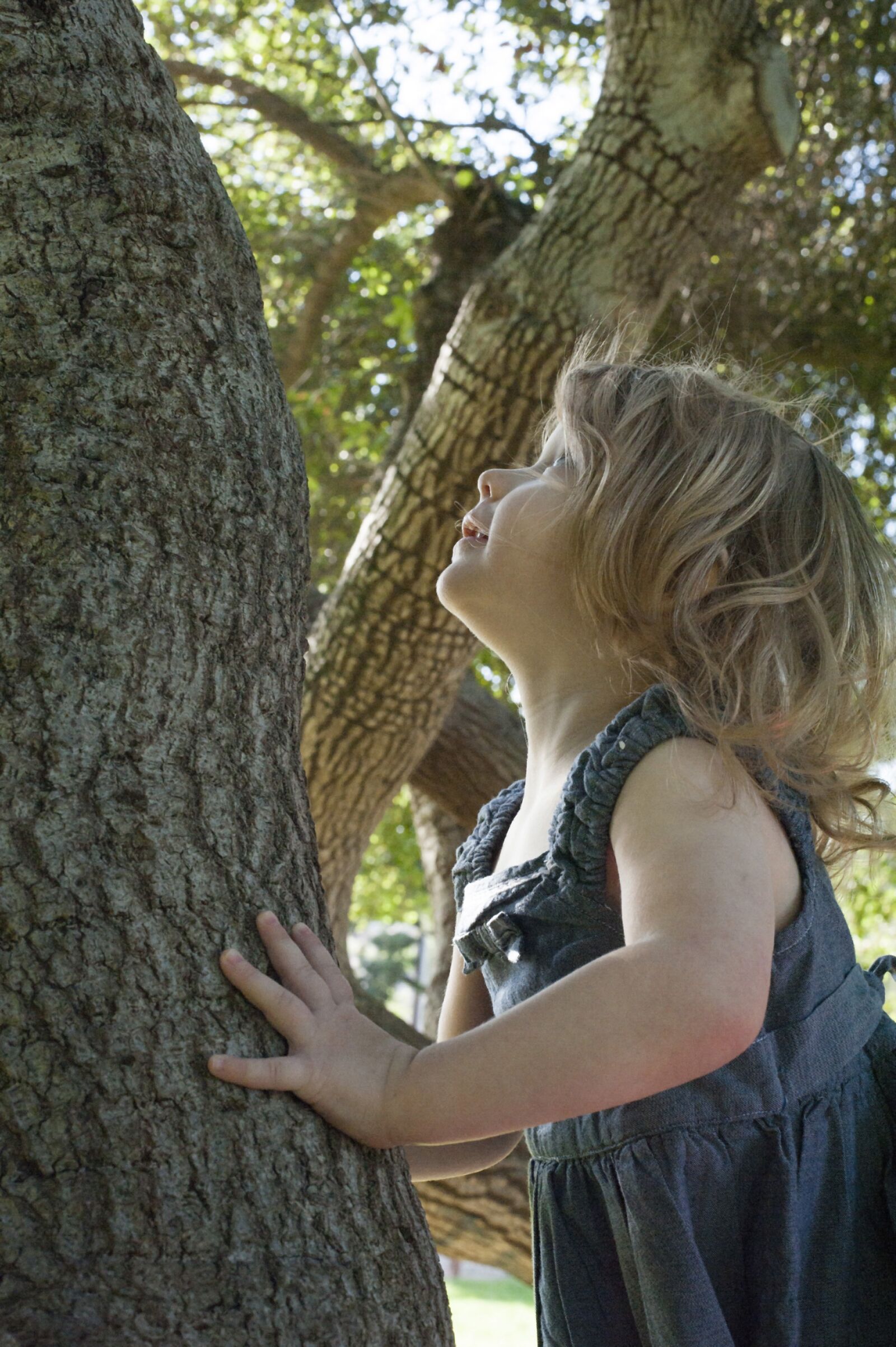 Nikon D700 sample photo. Toddler, girl, child photography
