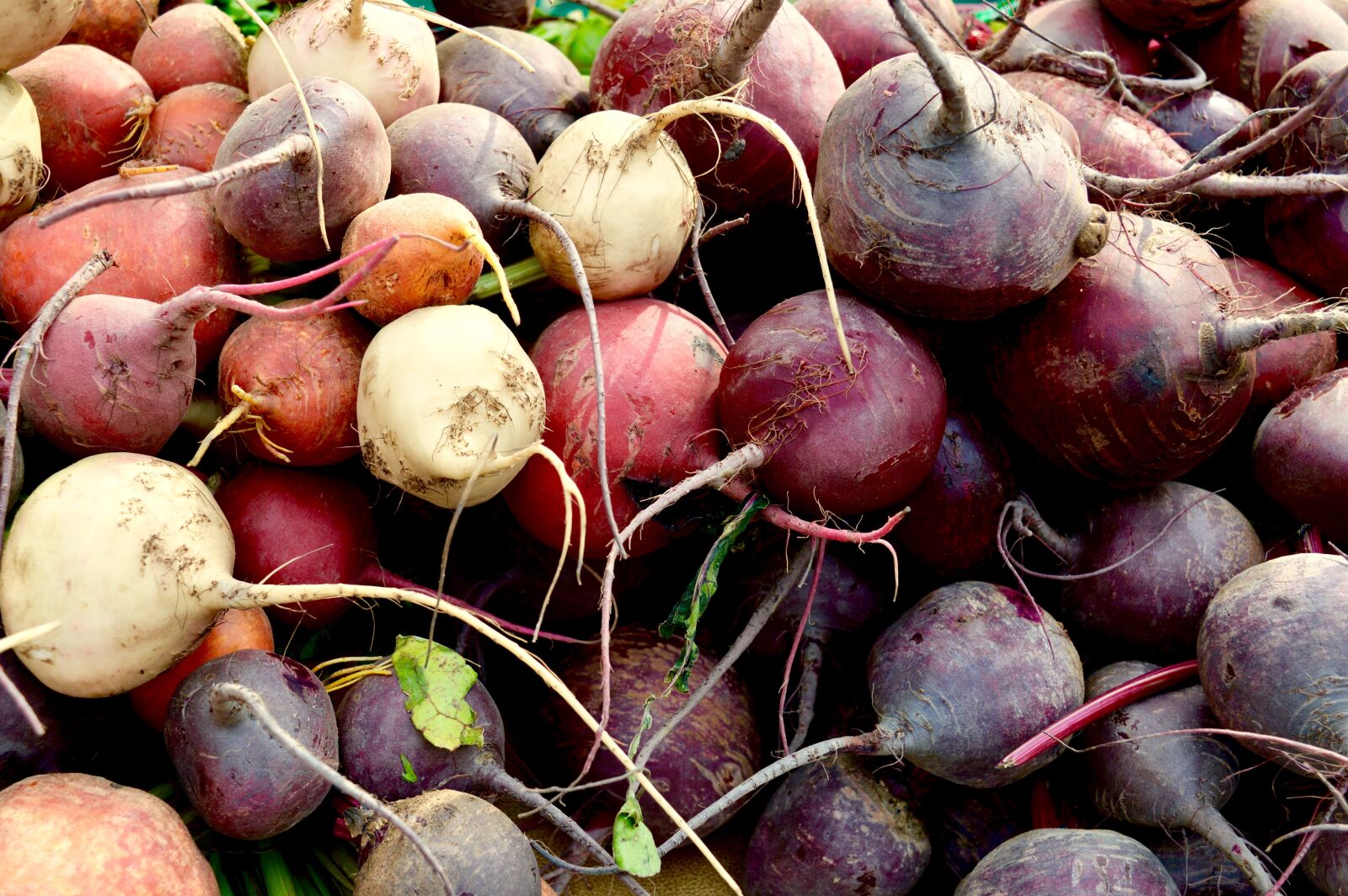 Nikon D3200 sample photo. Vegetables, farmer's market, beets photography