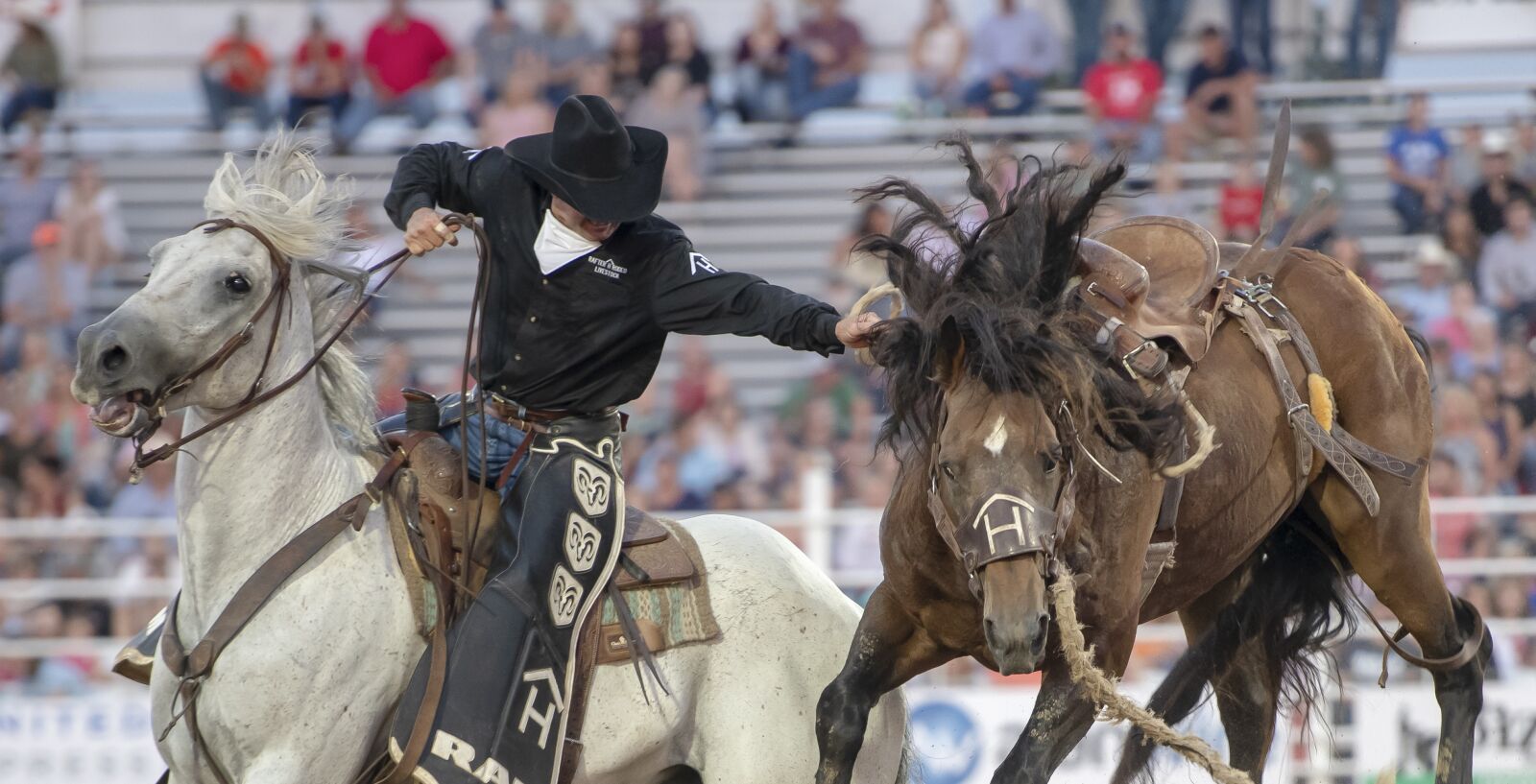 Nikon D850 sample photo. Rodeo, horse, competition photography