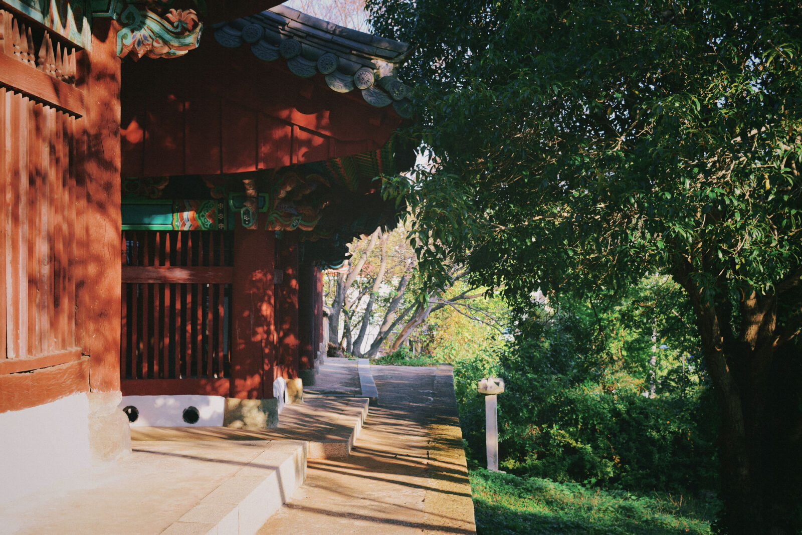 Nikon D5300 sample photo. Korean, style, house, nature photography
