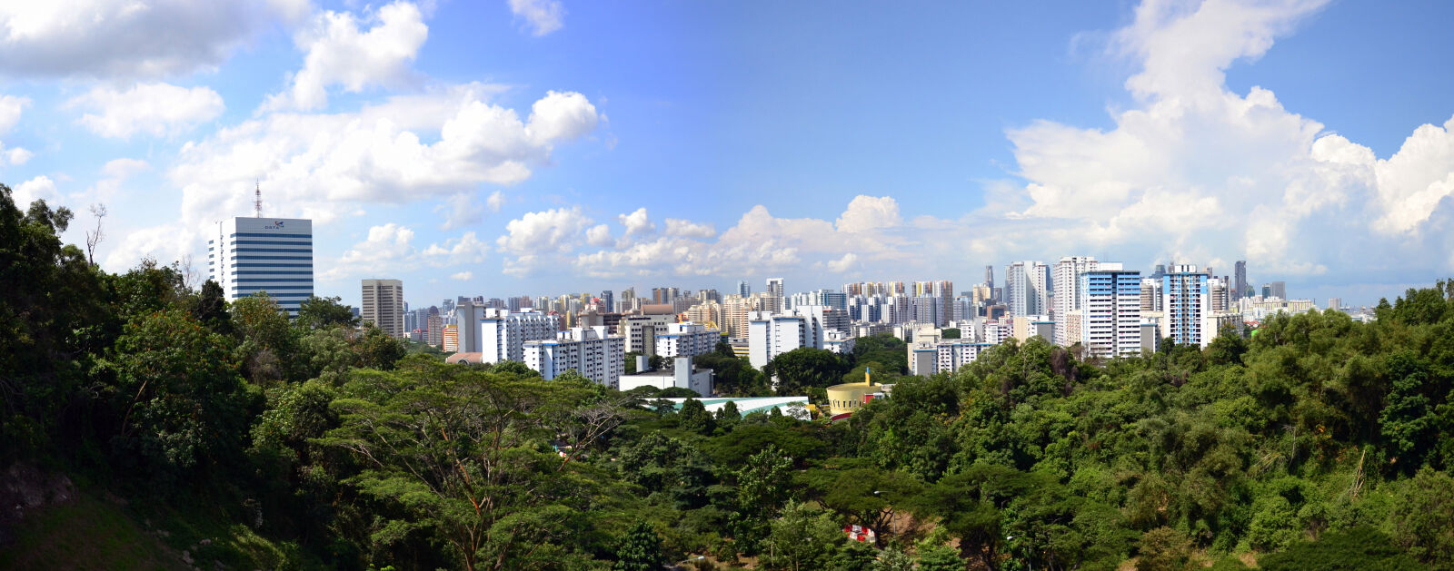 Nikon D3100 sample photo. City, park, singapore photography
