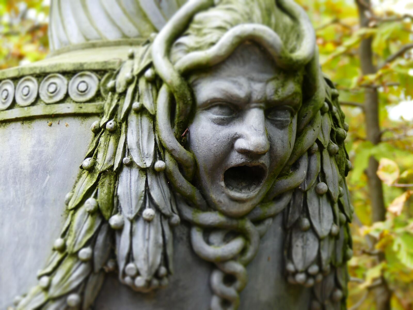Panasonic Lumix DMC-FZ300 sample photo. Closed garden schwetzingen, amphora photography